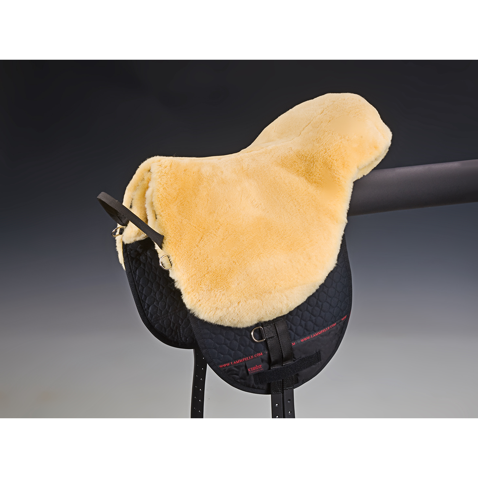 Christ Bareback ujeżdża Basic Plus, SH