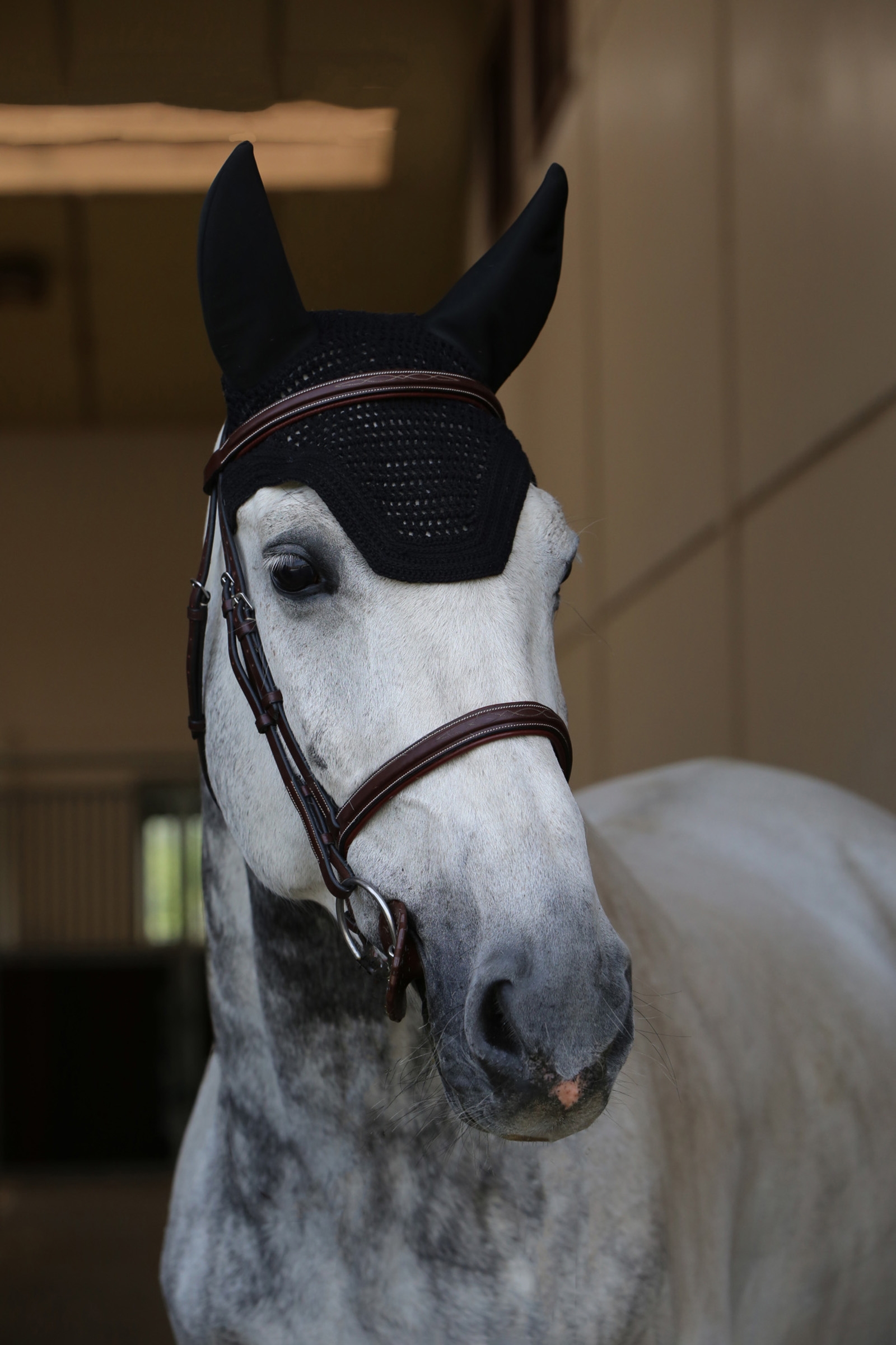 Nauszniki wyciszające Kentucky Horsewear Wellington Soundless