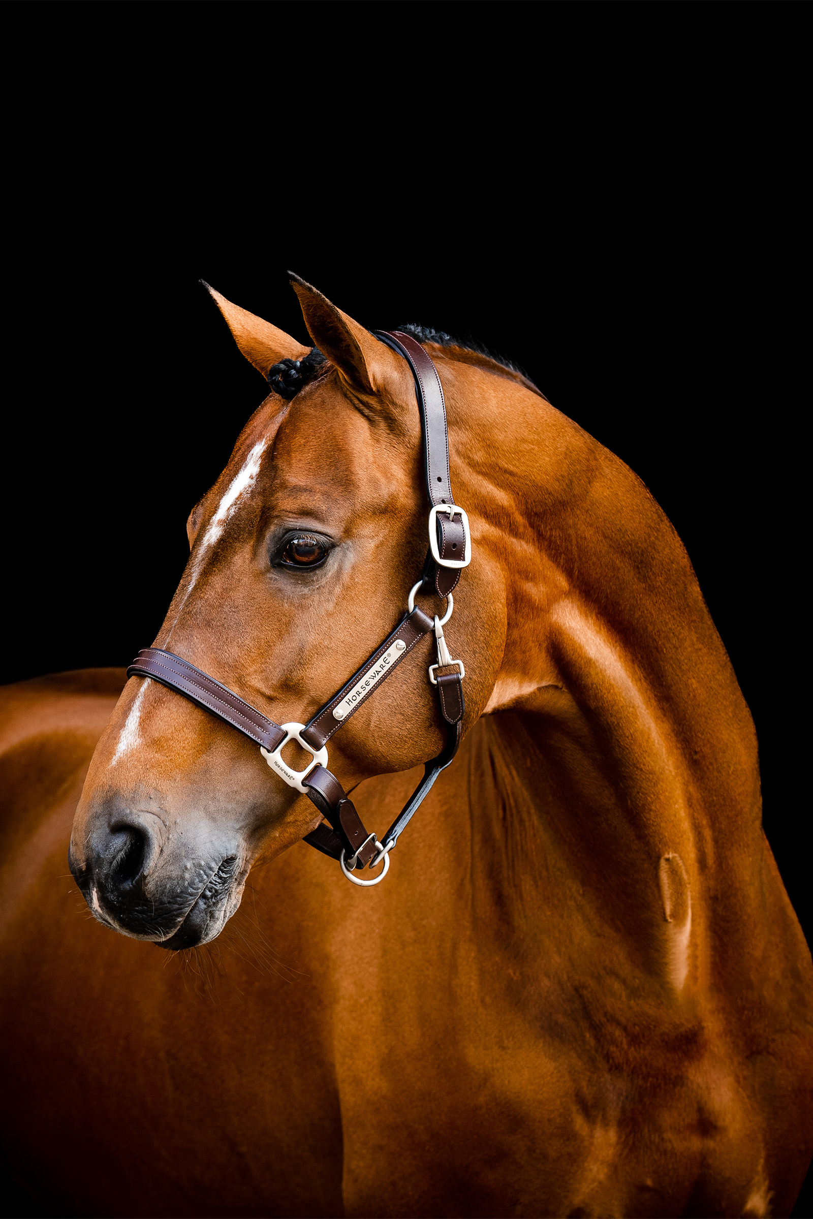 Sk&oacute;rzany halter Horseware Signature