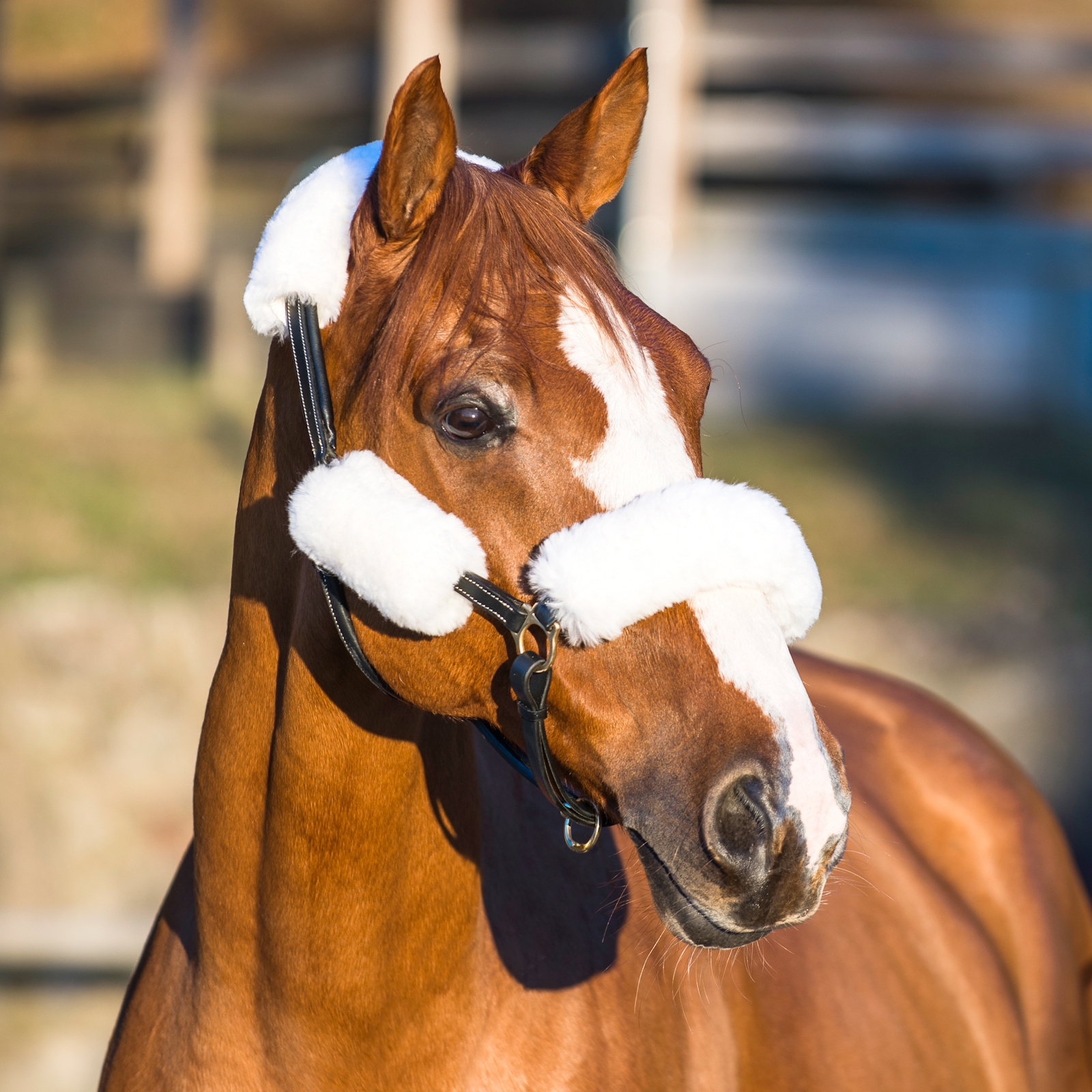 Nakładki ochronne na kantar Horze