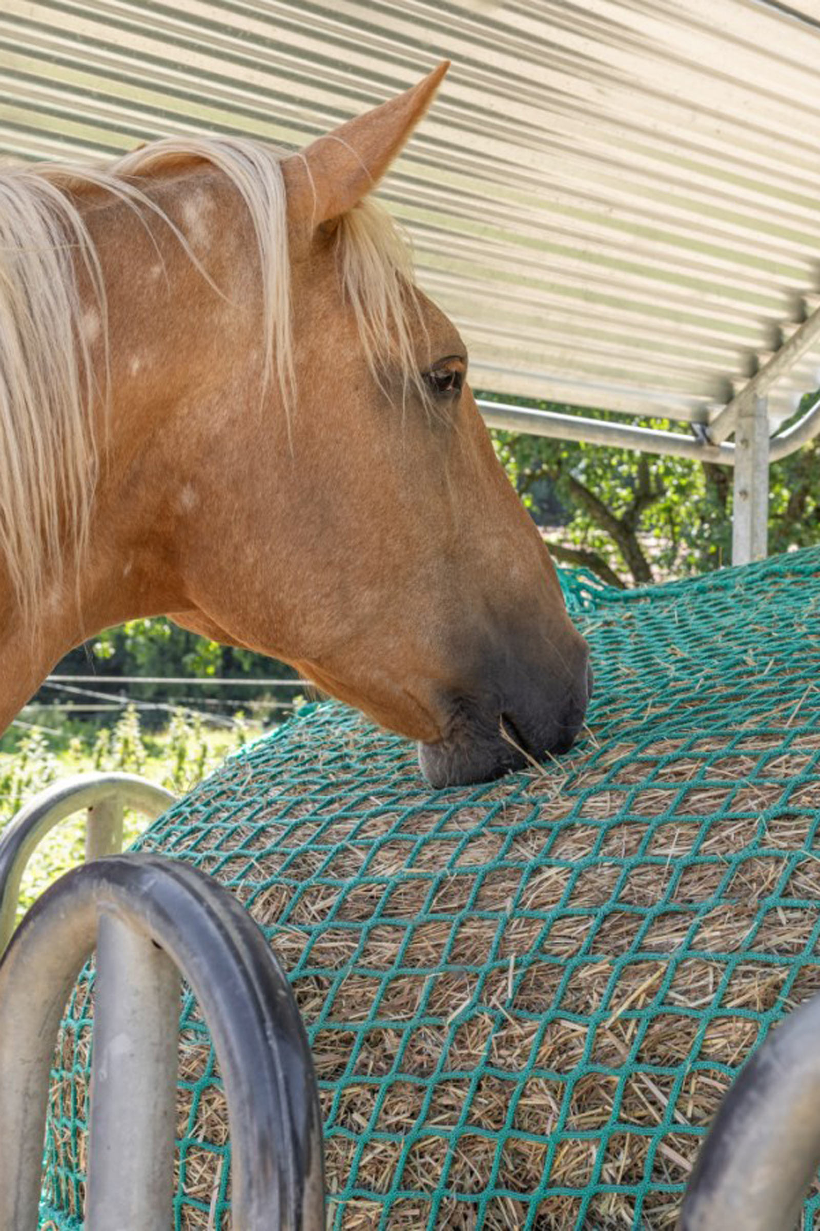 Sieć na siano Kerbl do okrągłych bel, do powieszenia