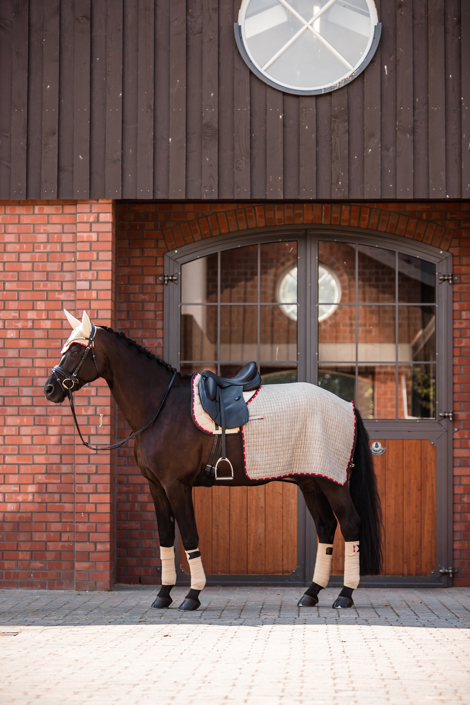 B Vertigo Amory Derka treningowa