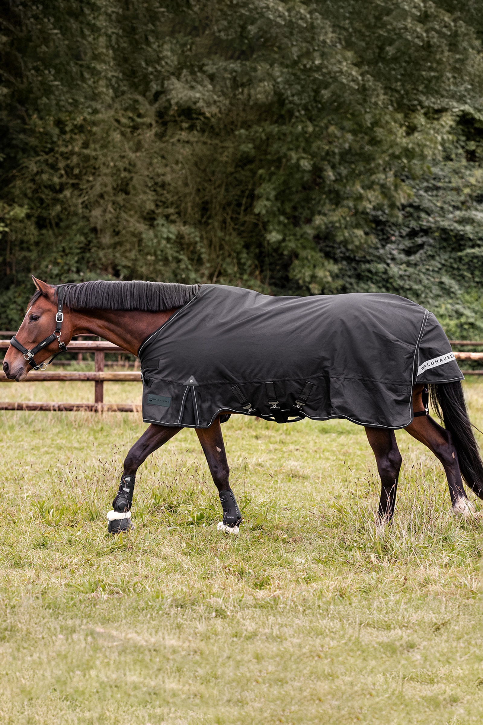 Waldhausen Outdoor Rug Scandic 300 g