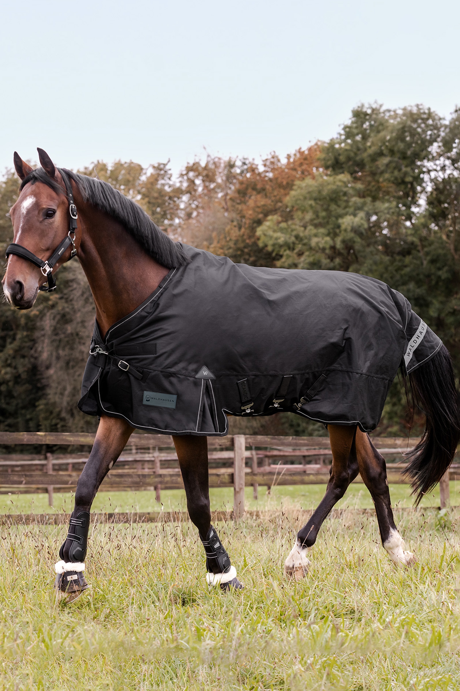 Waldhausen Outdoor Rug Scandic 300 g