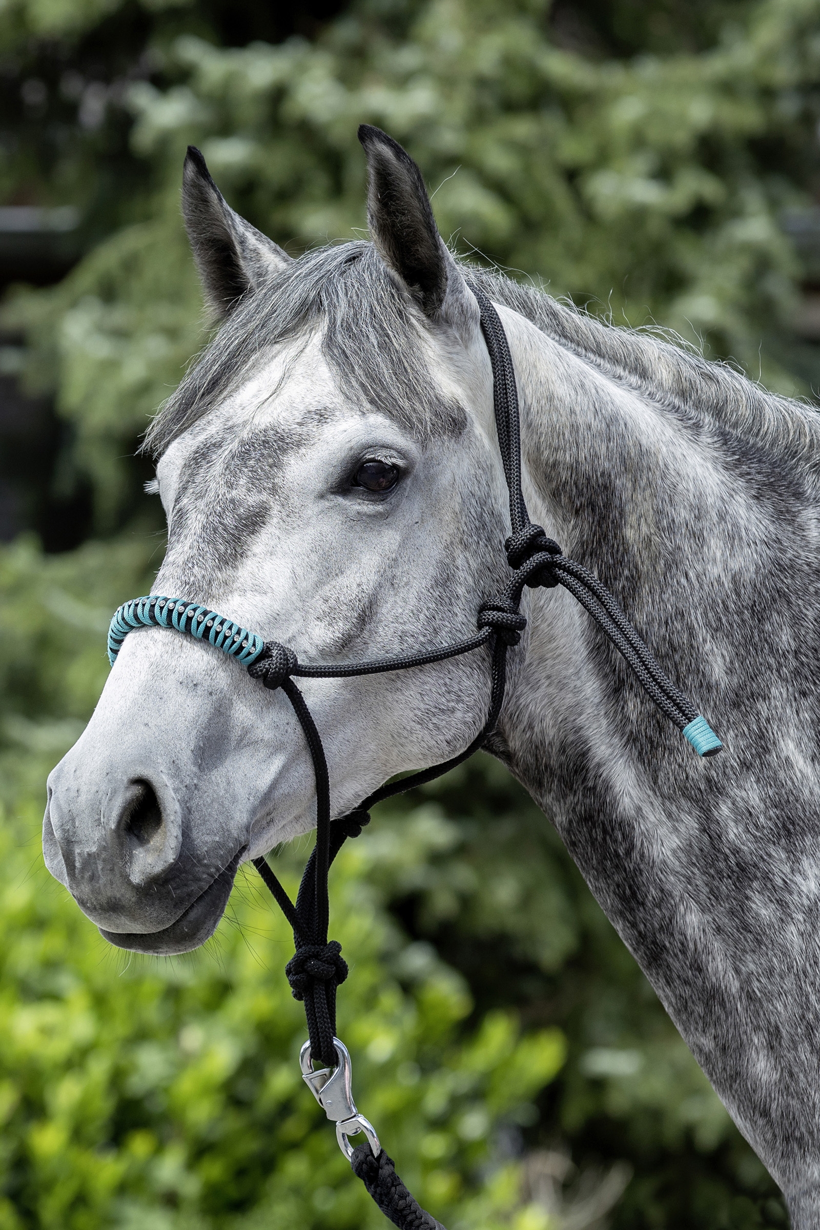 USG Kantar sznurkowy