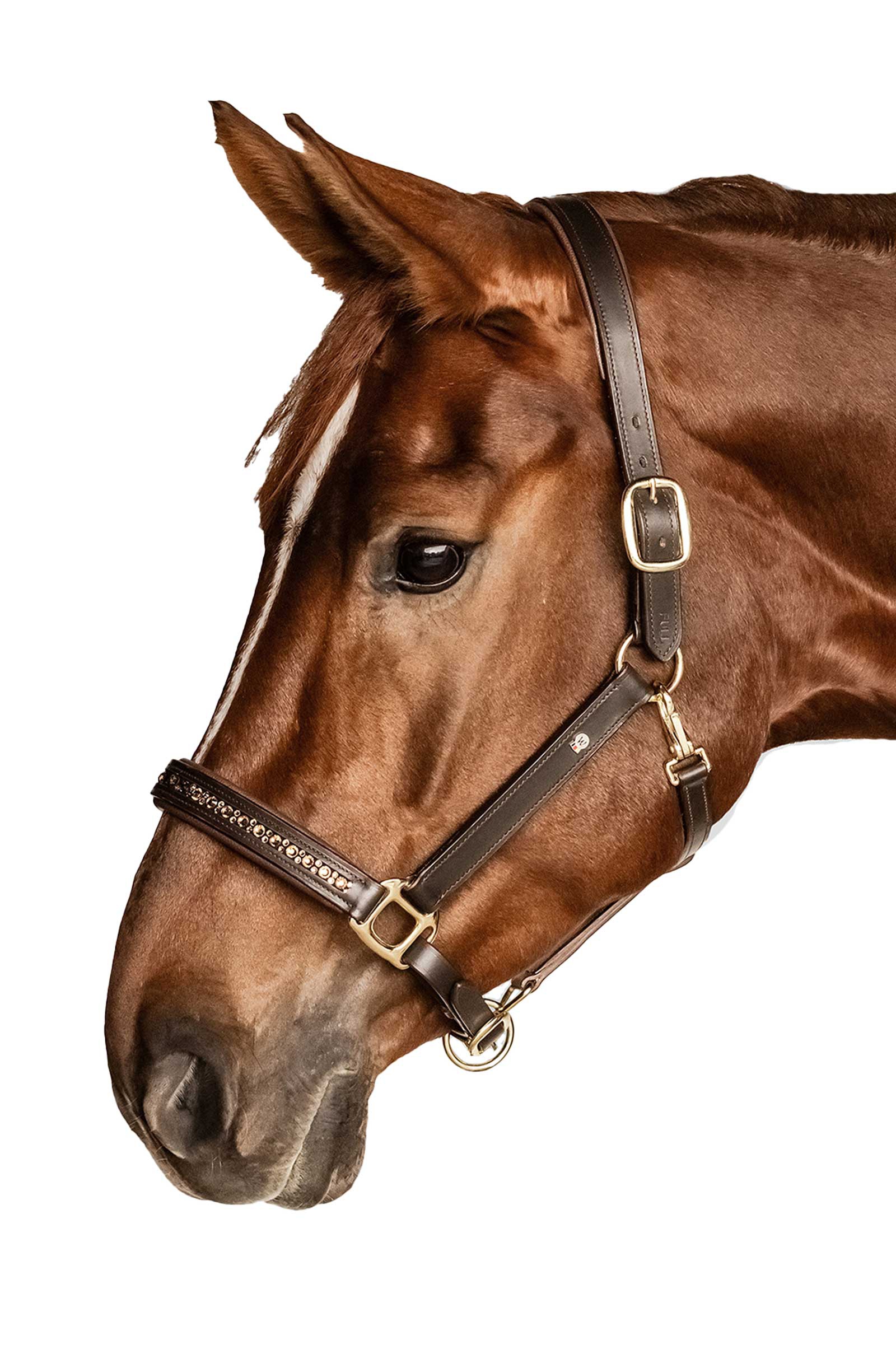 Waldhausen X-Line Crystal Sk&oacute;rzany Kantar