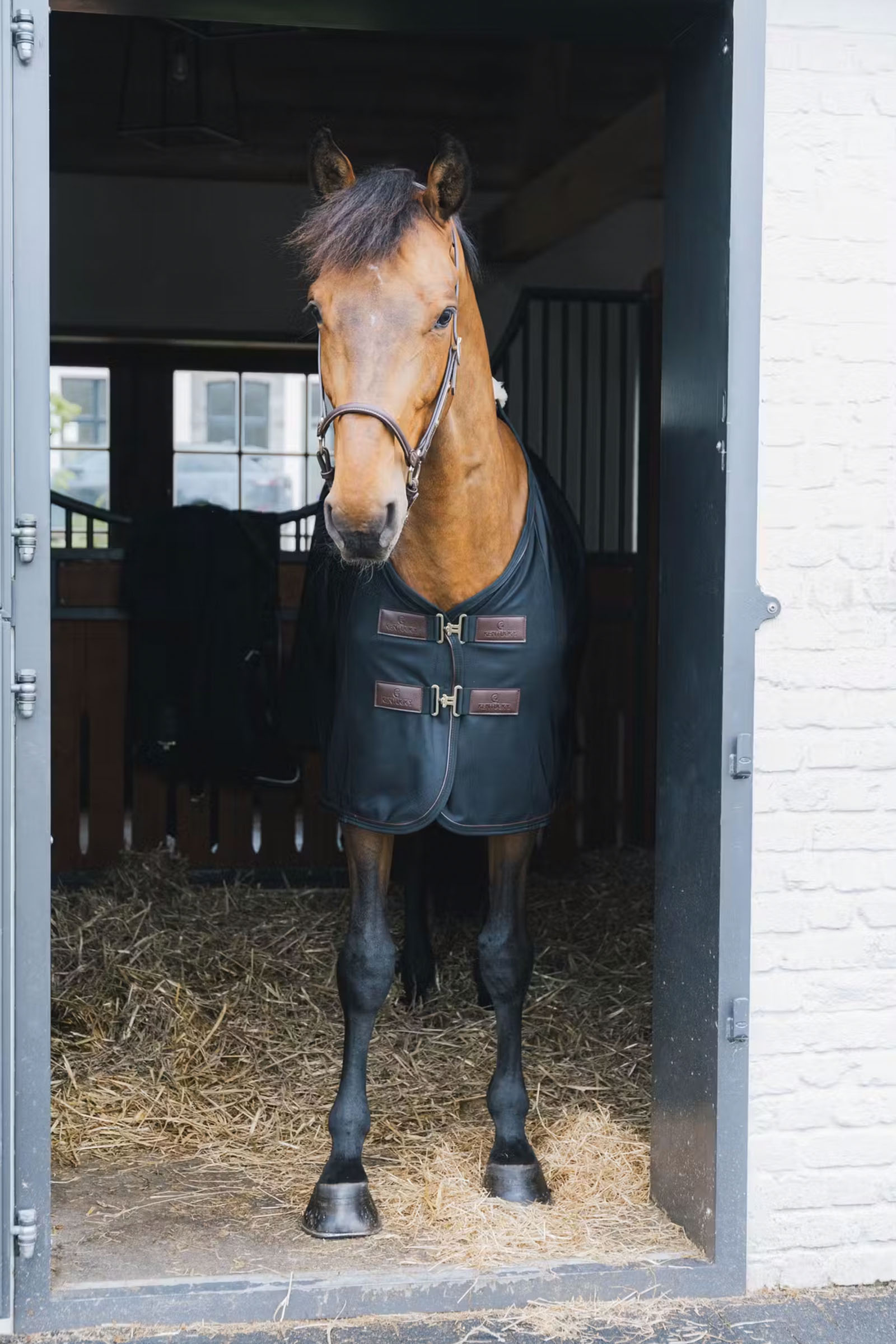 Kentucky Horsewear siateczkowa derka przeciw owadom