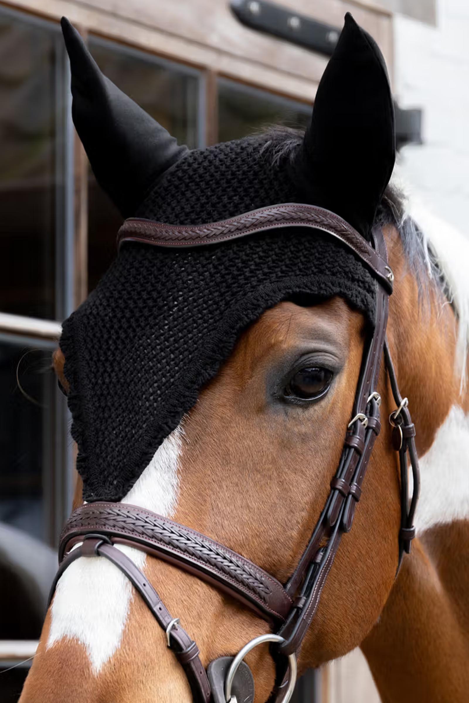 Kentucky długie nauszniki przeciw owadom  