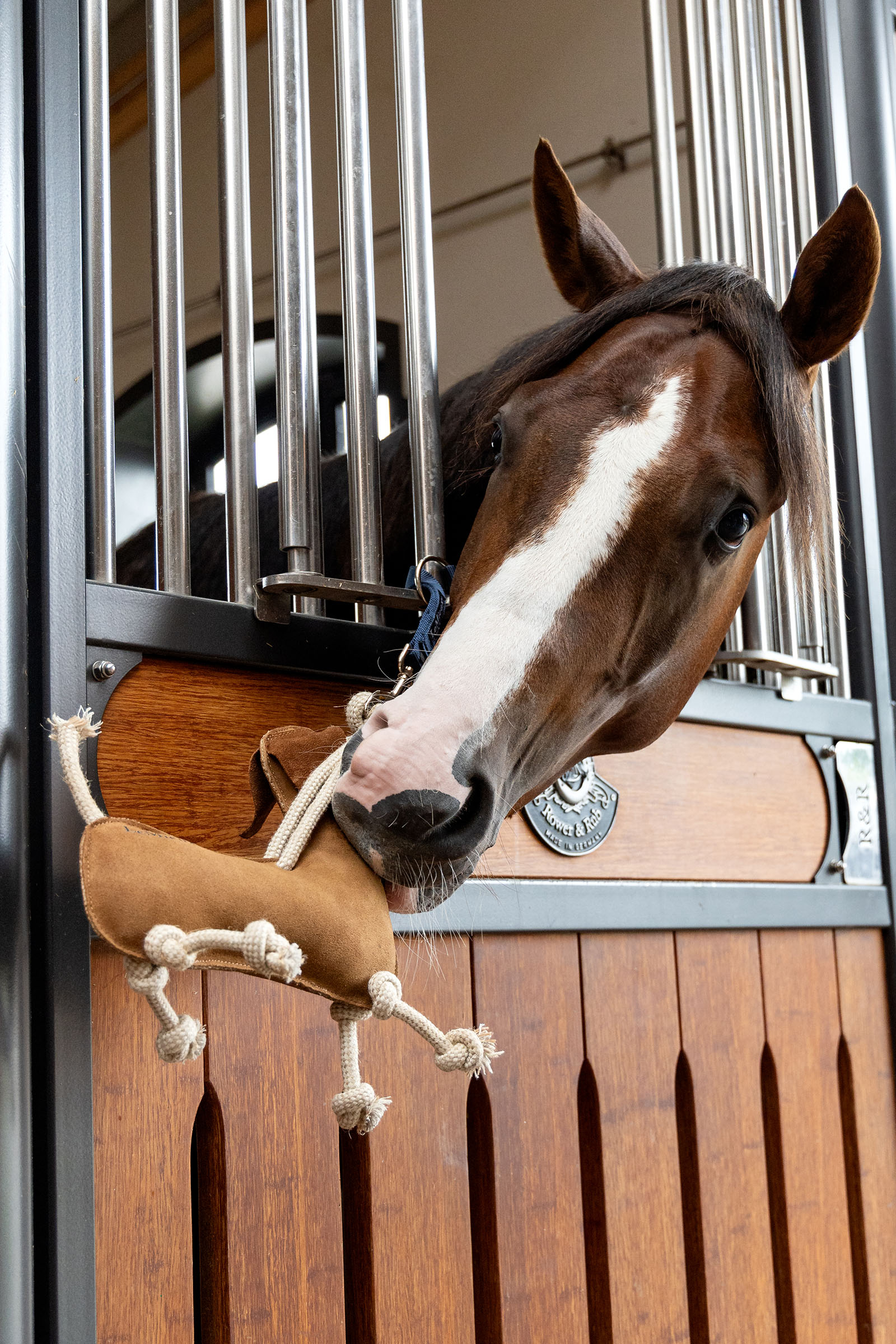 LeMieux zabawka dla konia jamnik