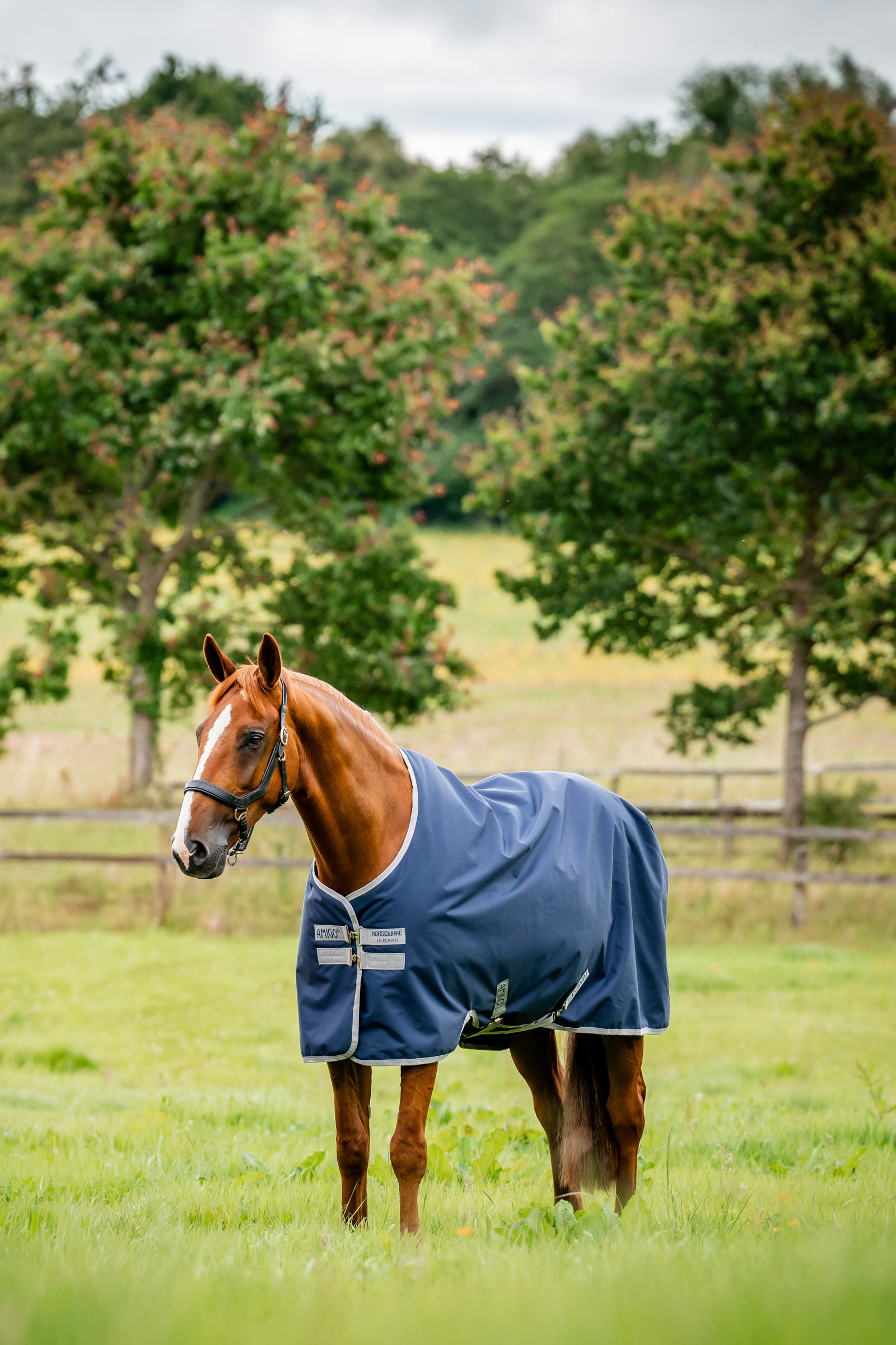 Witney Navy Horseware Amigo Ripstop Derka padokowa 900D, 0g