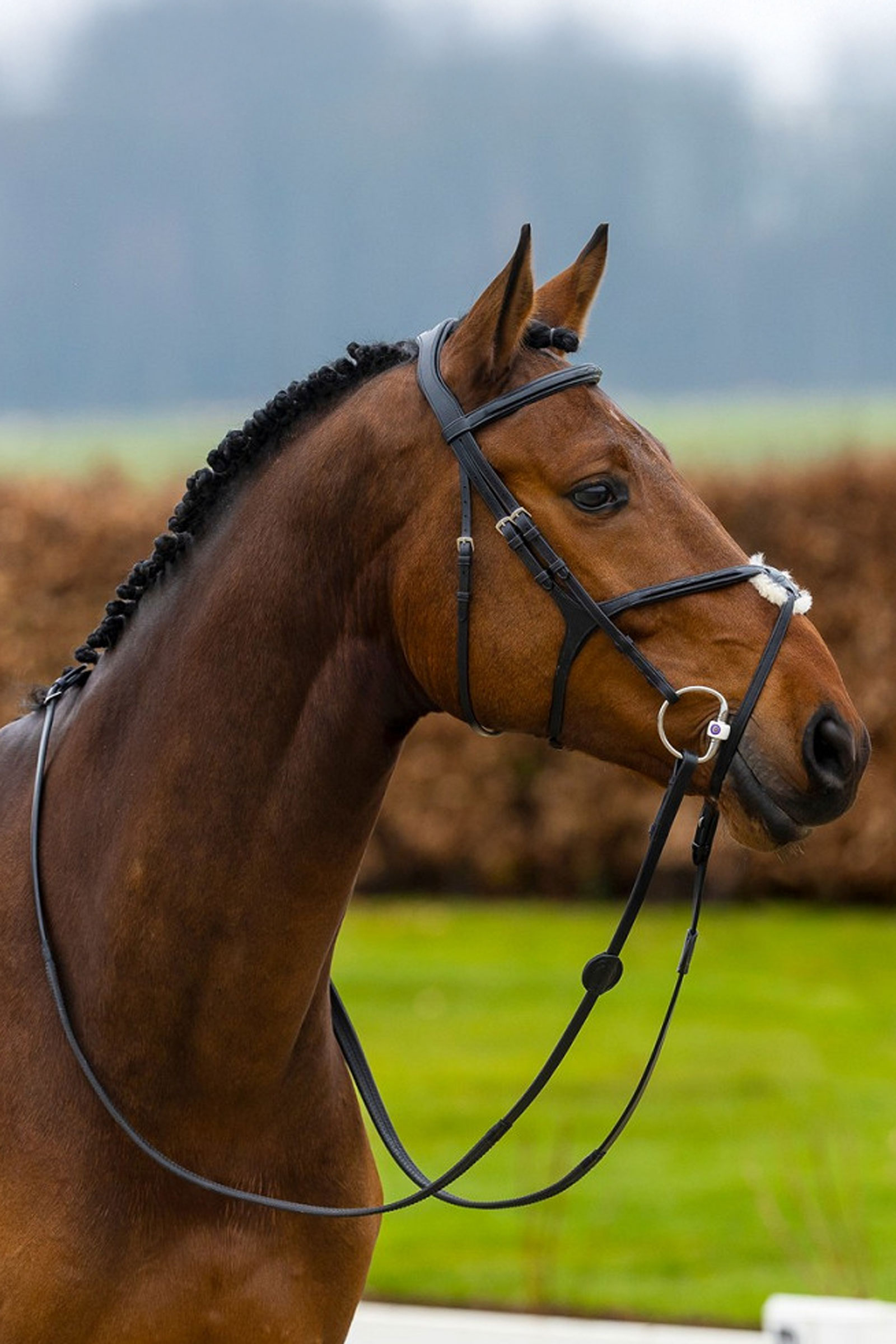 Trust Equestrian Oslo Mexican Noseband Bridle