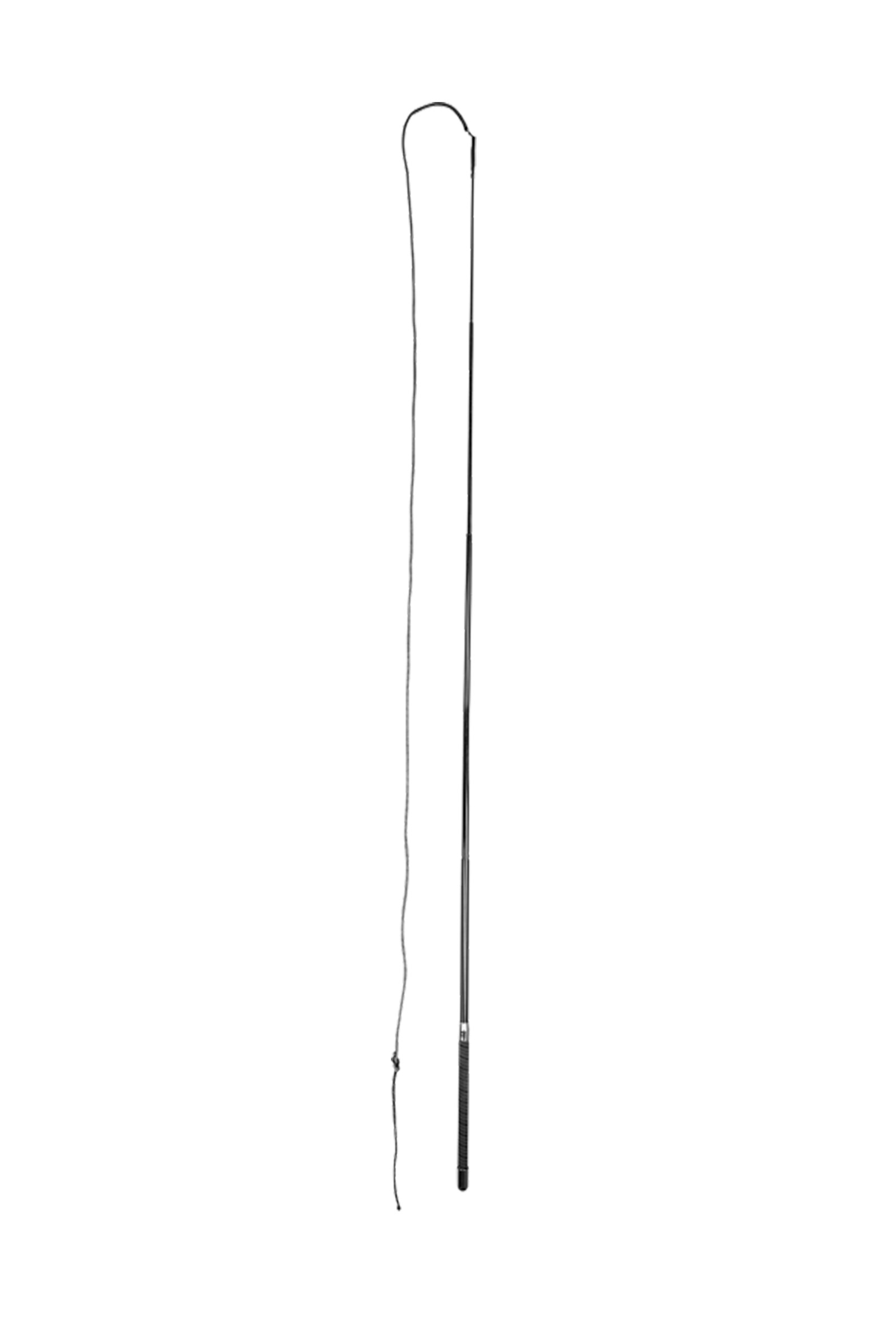 Bicz do longowania Superlight od Waldhausen