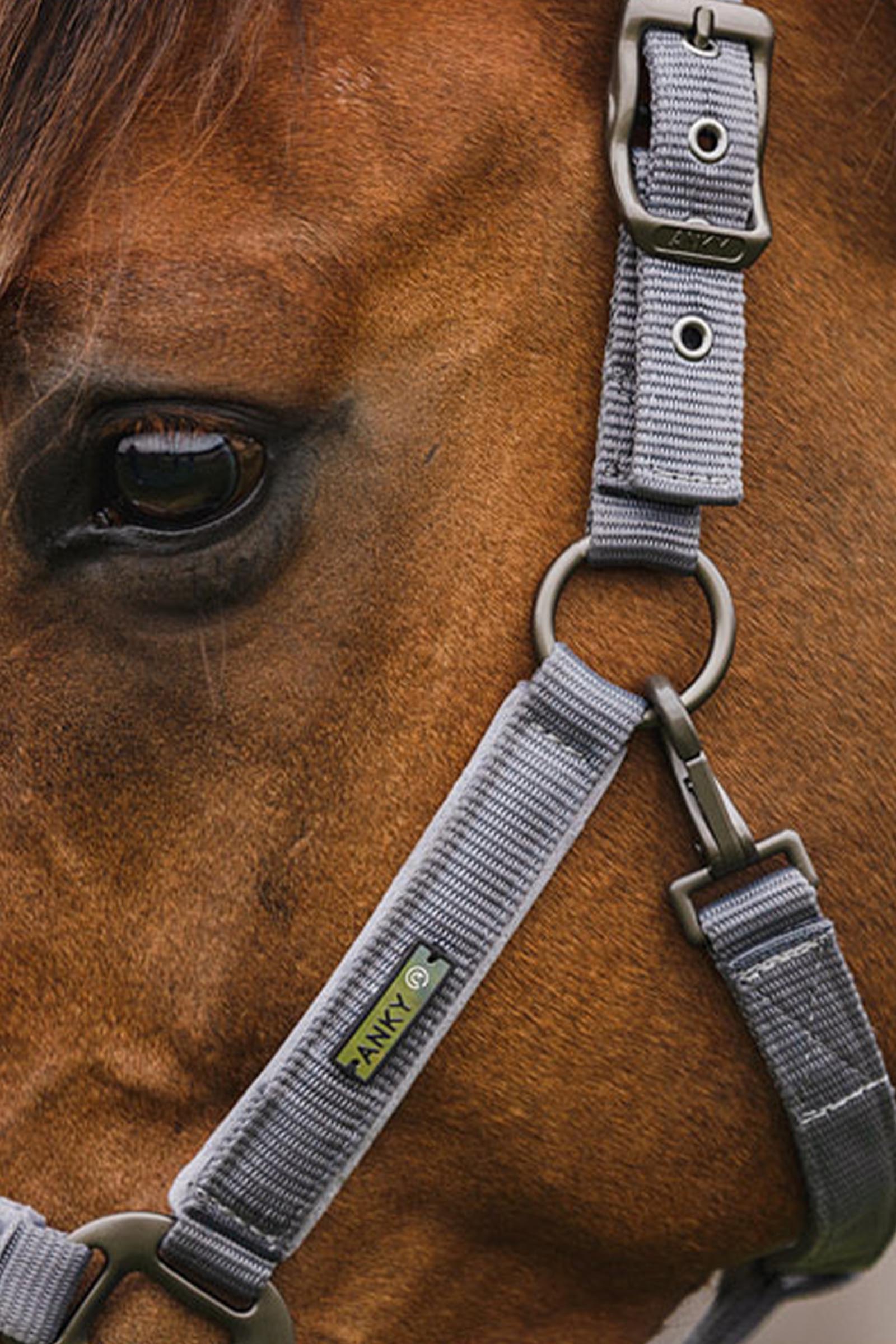 ANKY Stones Kantar i Uwiąz, zestaw