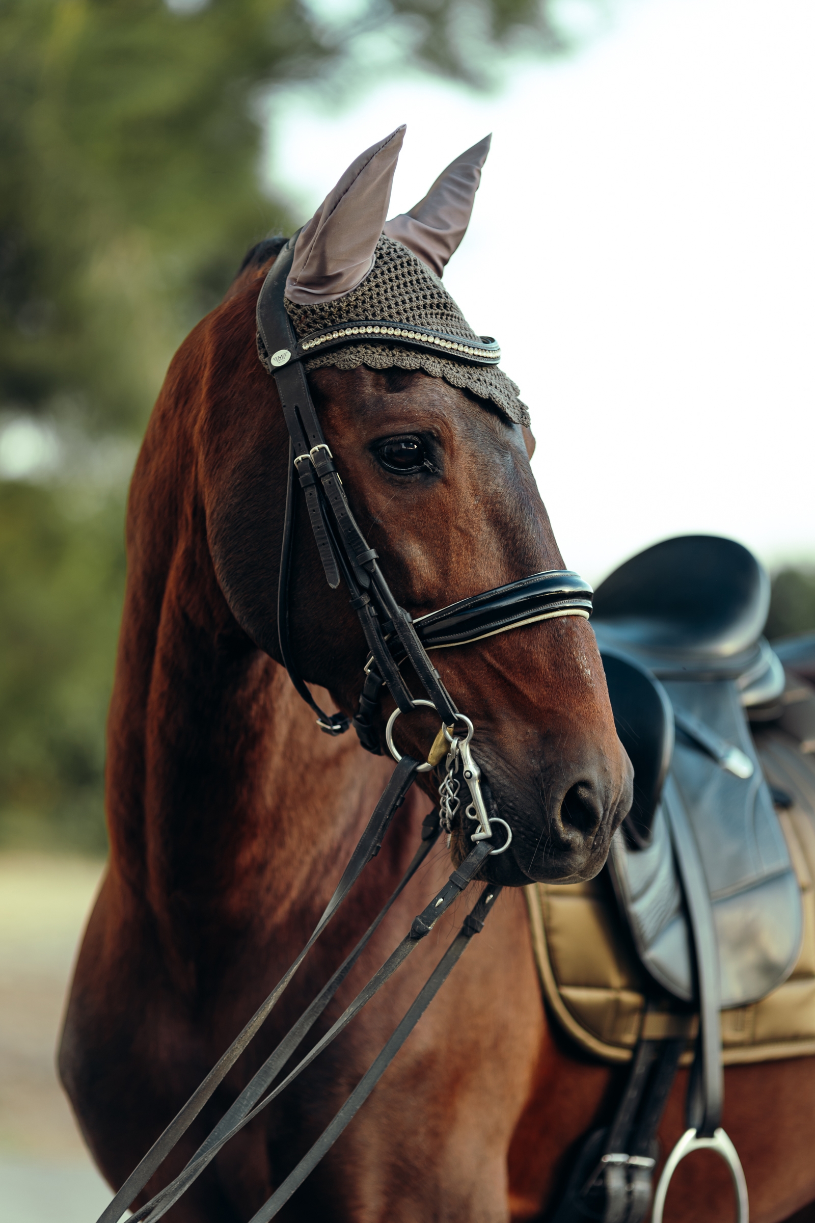 B Vertigo Drew Nauszniki