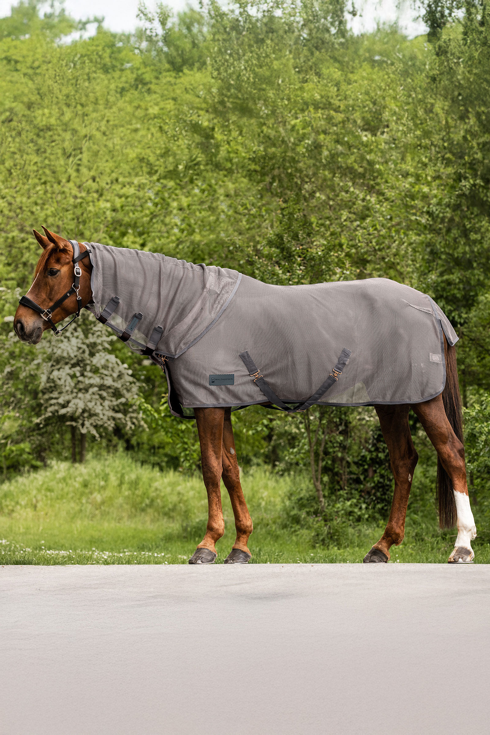 Waldhausen Comfort ochraniacz szyi przeciw owadom