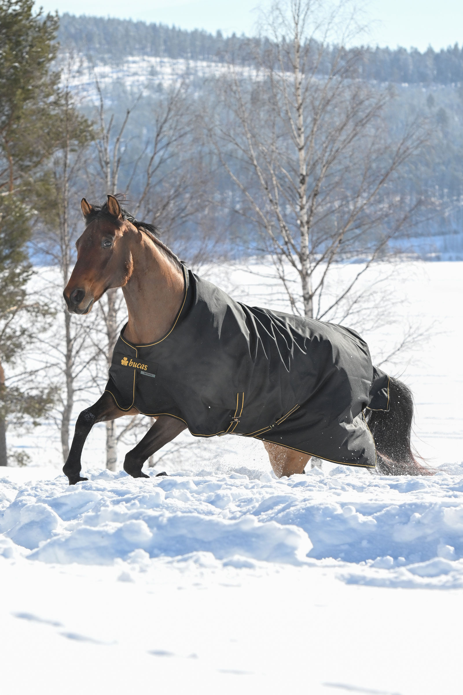 Bucas Irish derka padokowa, 300g