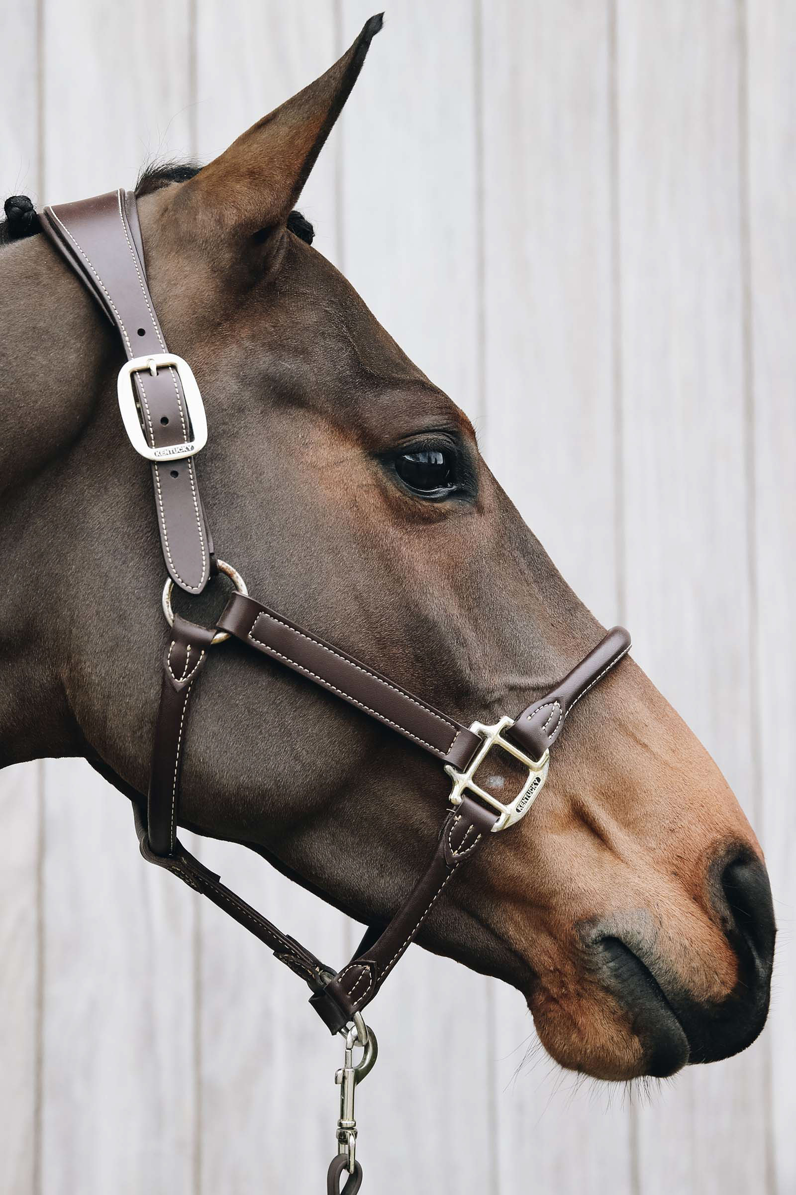 Kentucky Horsewear kantar anatomiczny skórzany