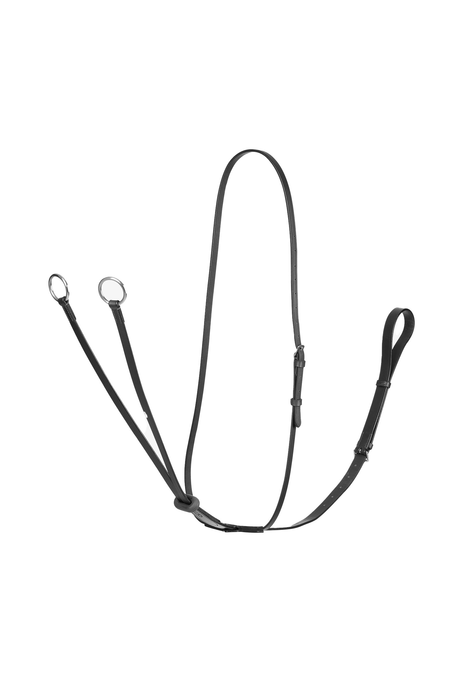 LeMieux Arika biegnący martingal