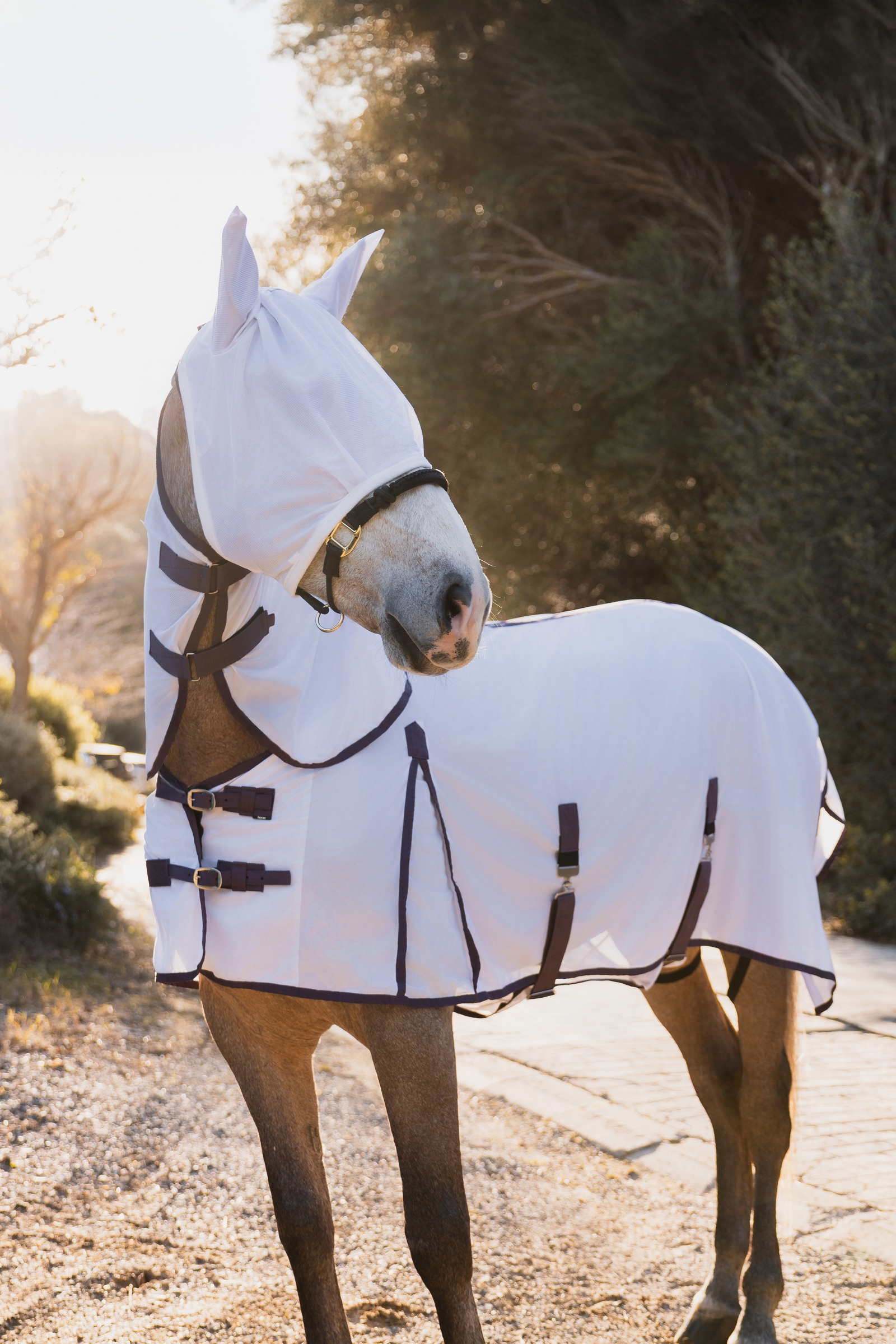 Horze La Paz Derka przeciwko owadom w zestawie z odpinanym kapturem i maską
