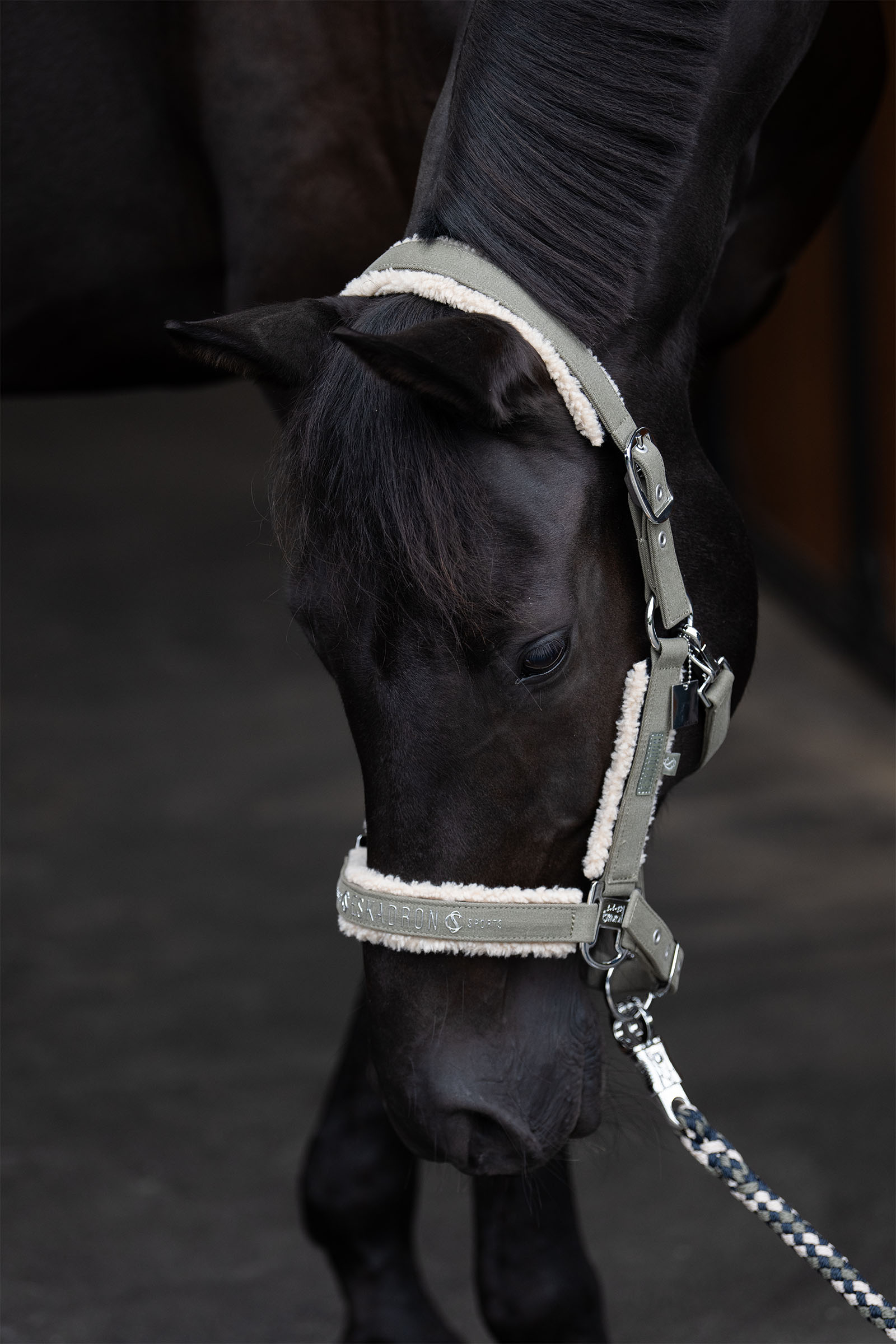 Eskadron Classic Sports SS25 Denim kantar z podw&oacute;jną sprzączką i podszyciem z teddyfleece