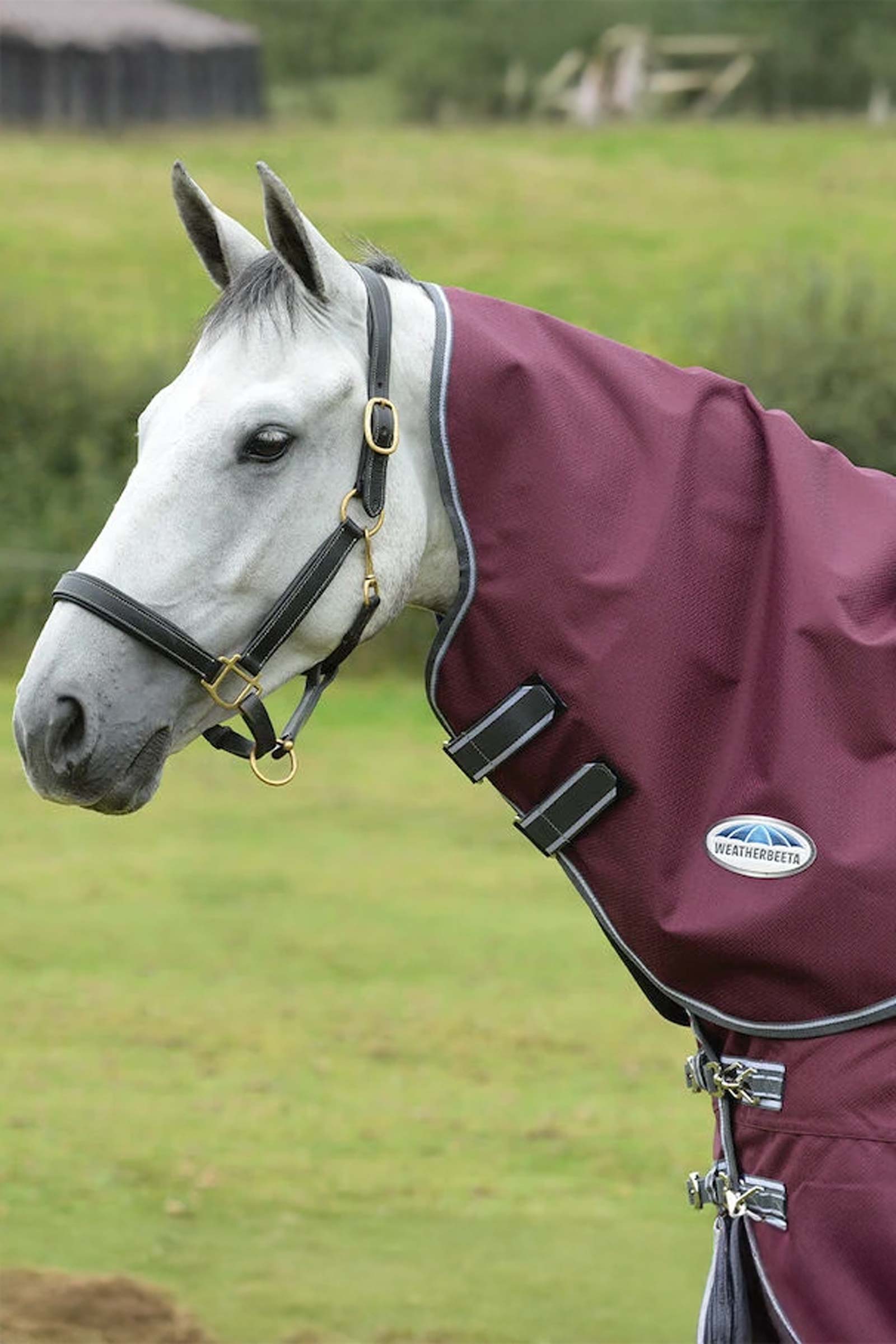 Weatherbeeta Comfitec Plus Dynamic II kaptur do derki, 0g