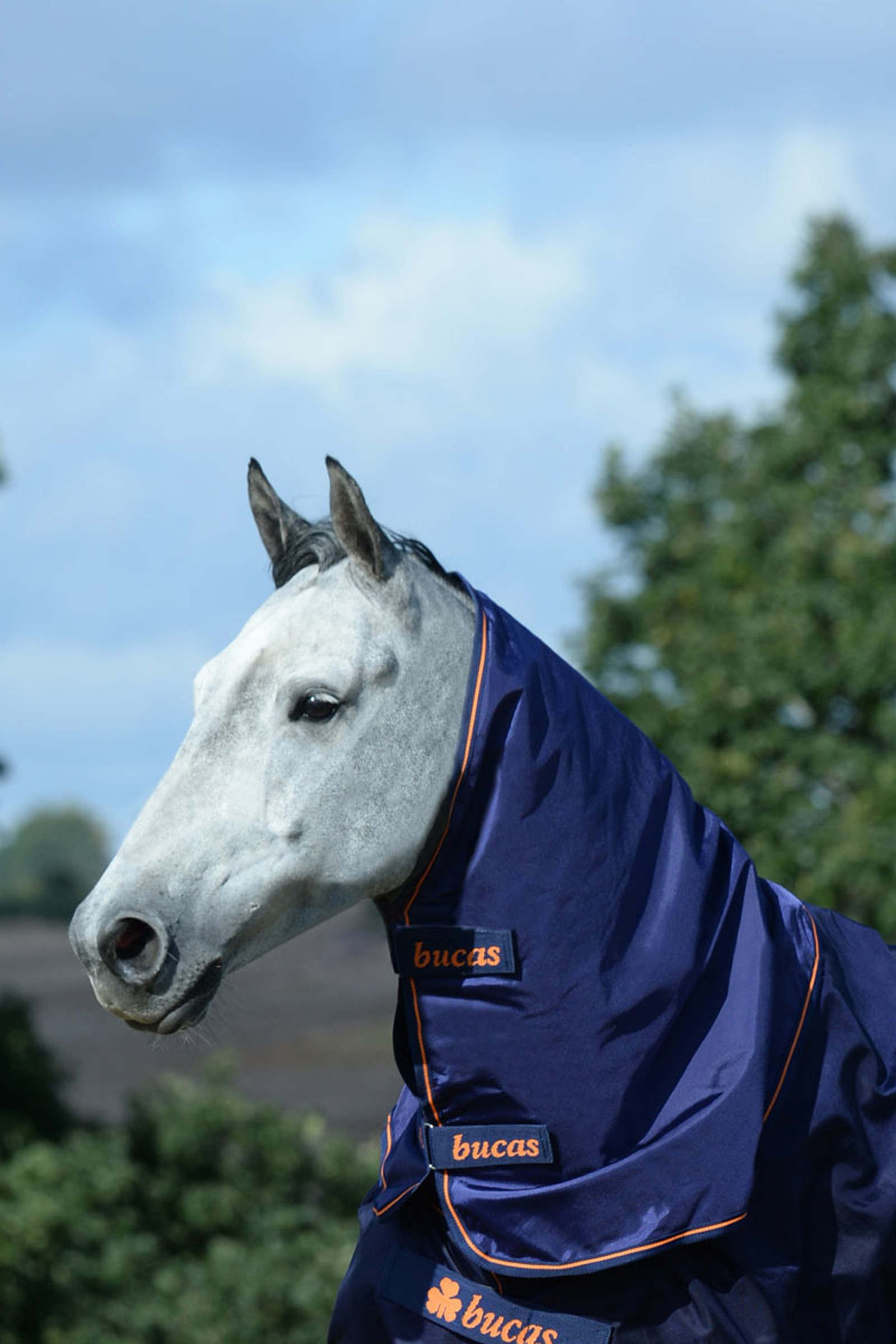 Bucas Therapy kaptur