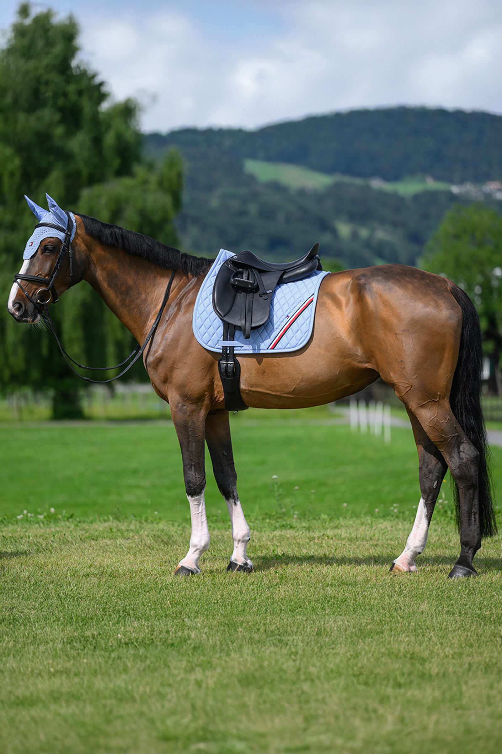 Tommy Hilfiger Equestrian Stanford czaprak ujeżdżeniowy
