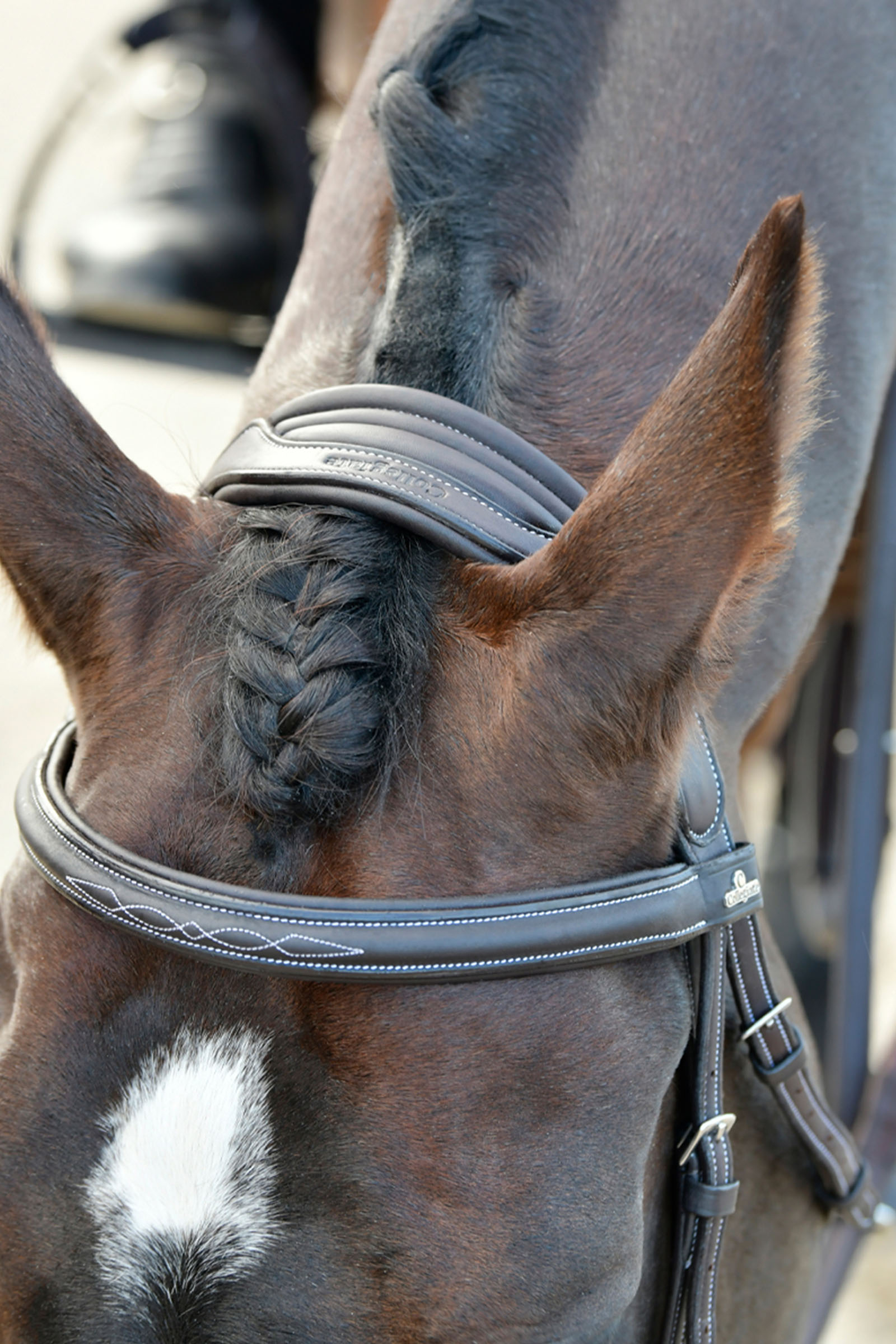 Collegiate Comfitec Opulux Fancy Stitch wyściełany nachrapnik hanowerski