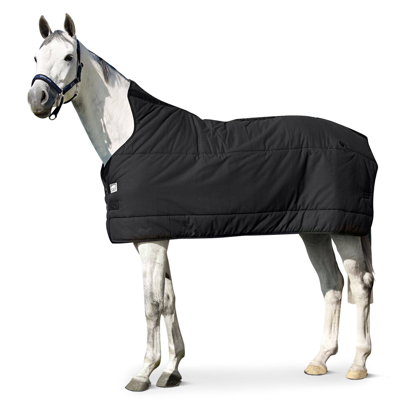 Eskadron Dywan POD DYWAN 240 g