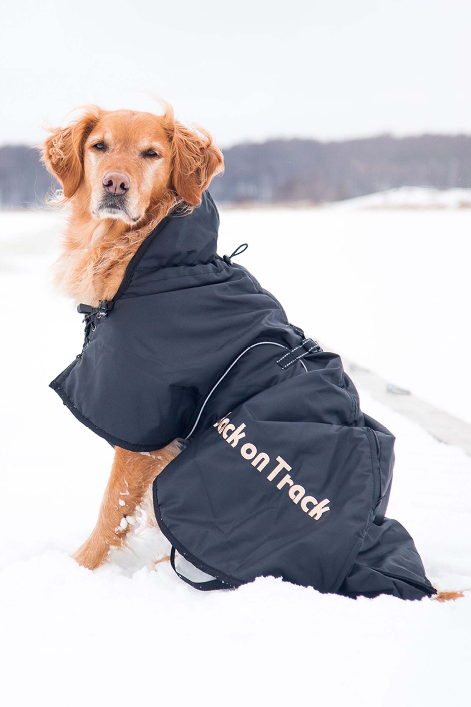 Derka dla psa Back on Track 21-40