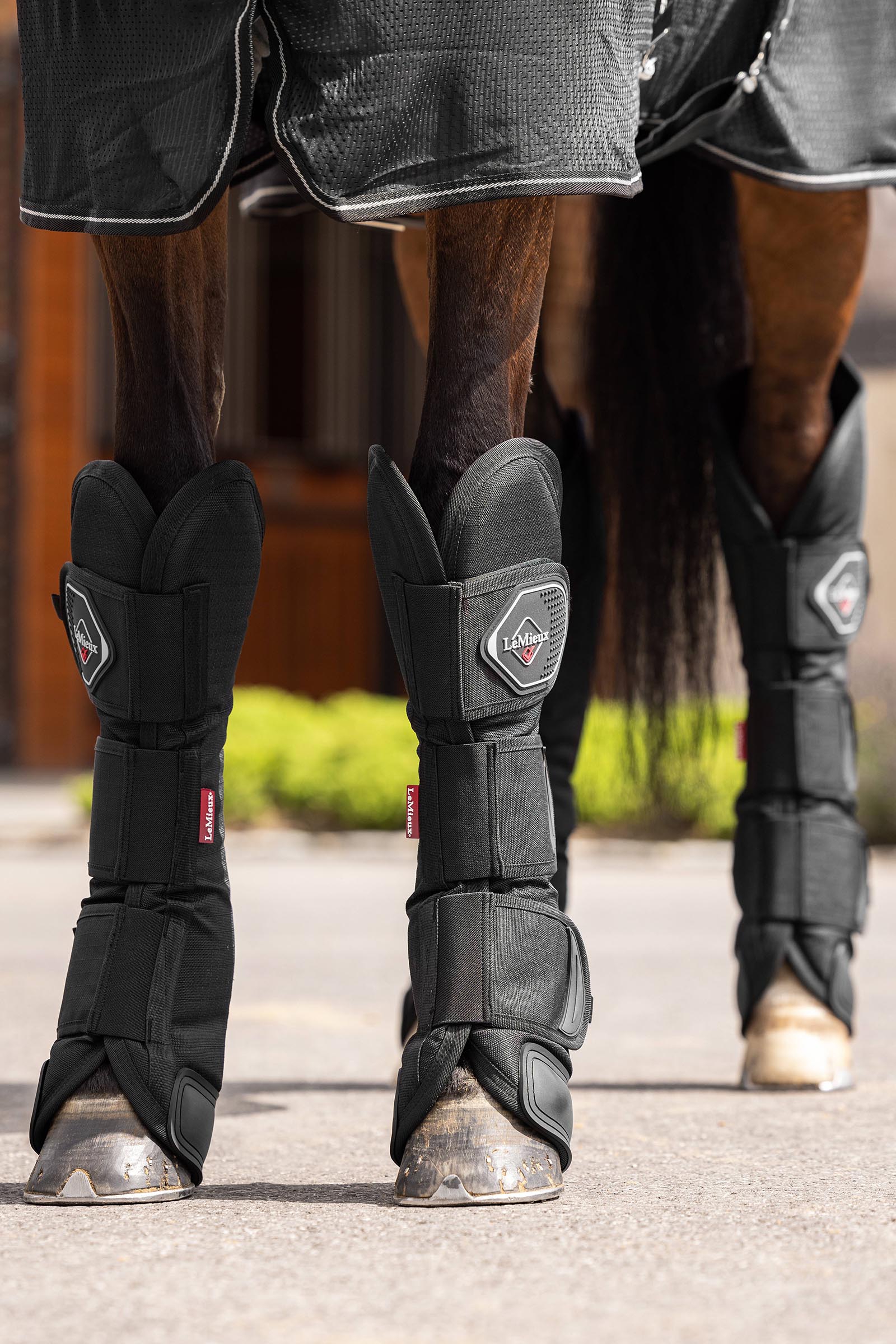 LeMieux ochraniacze transportowe