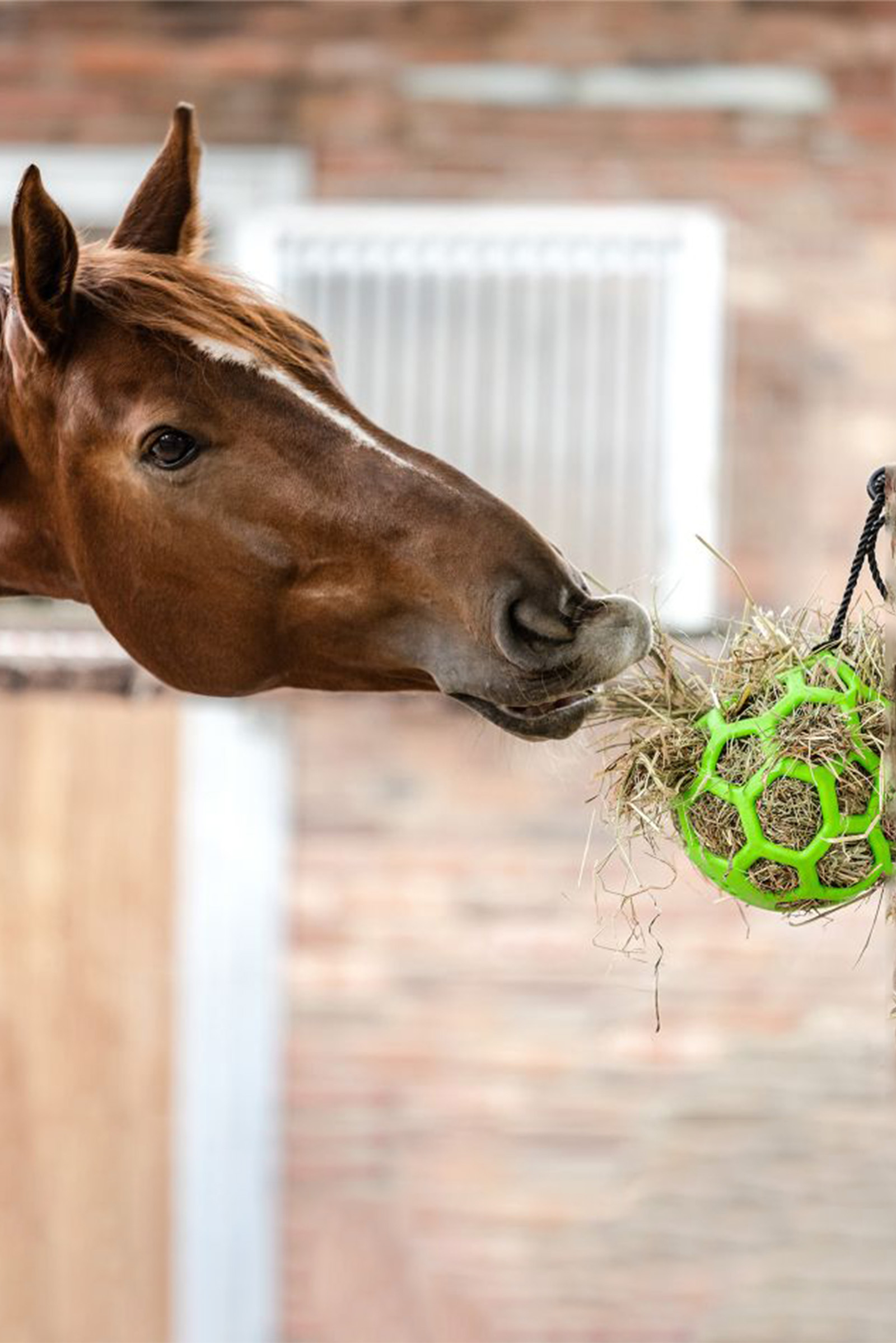 Piłka siana Waldhausen