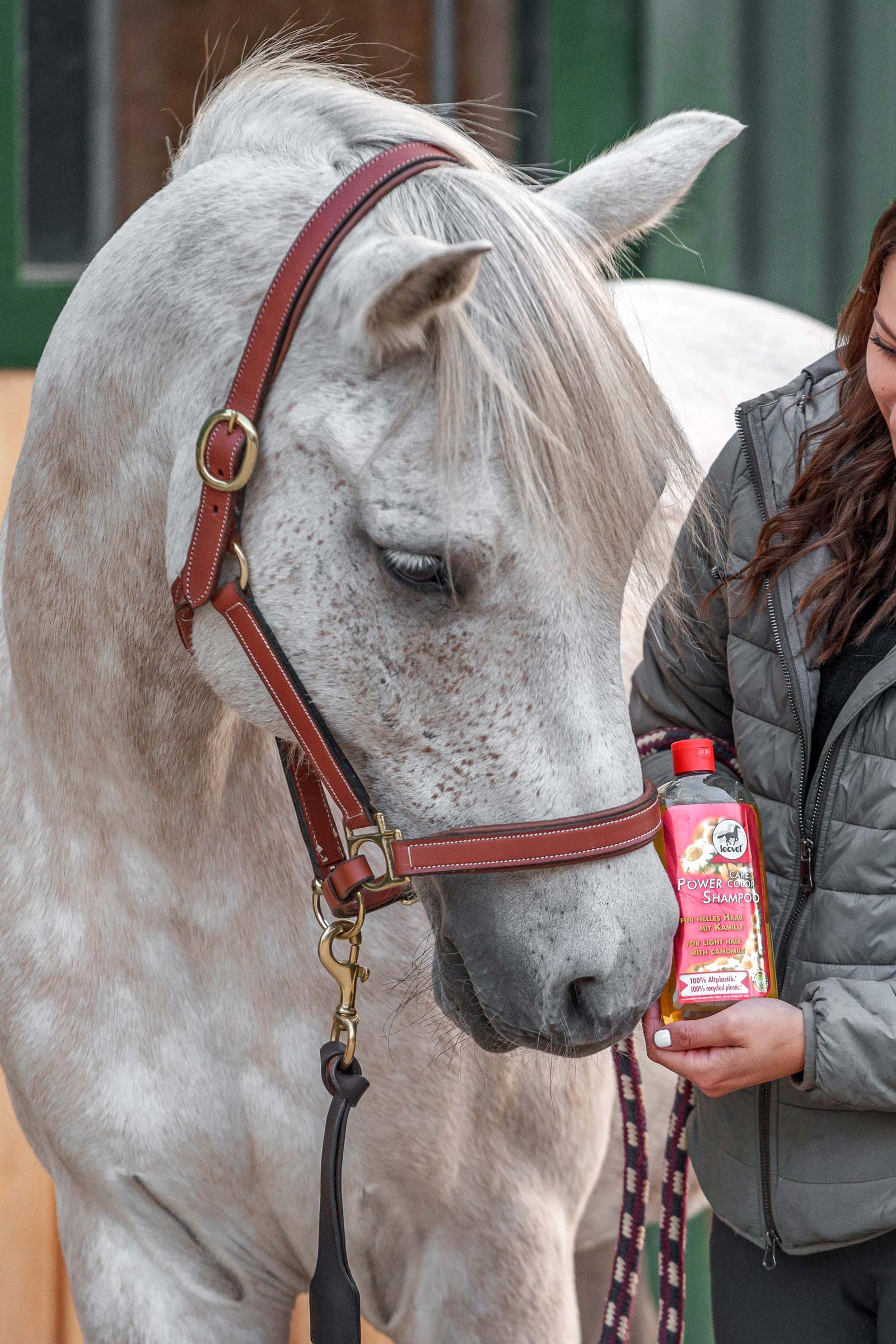 Leovet Power Shampoo Rumianek do jasnych włosów