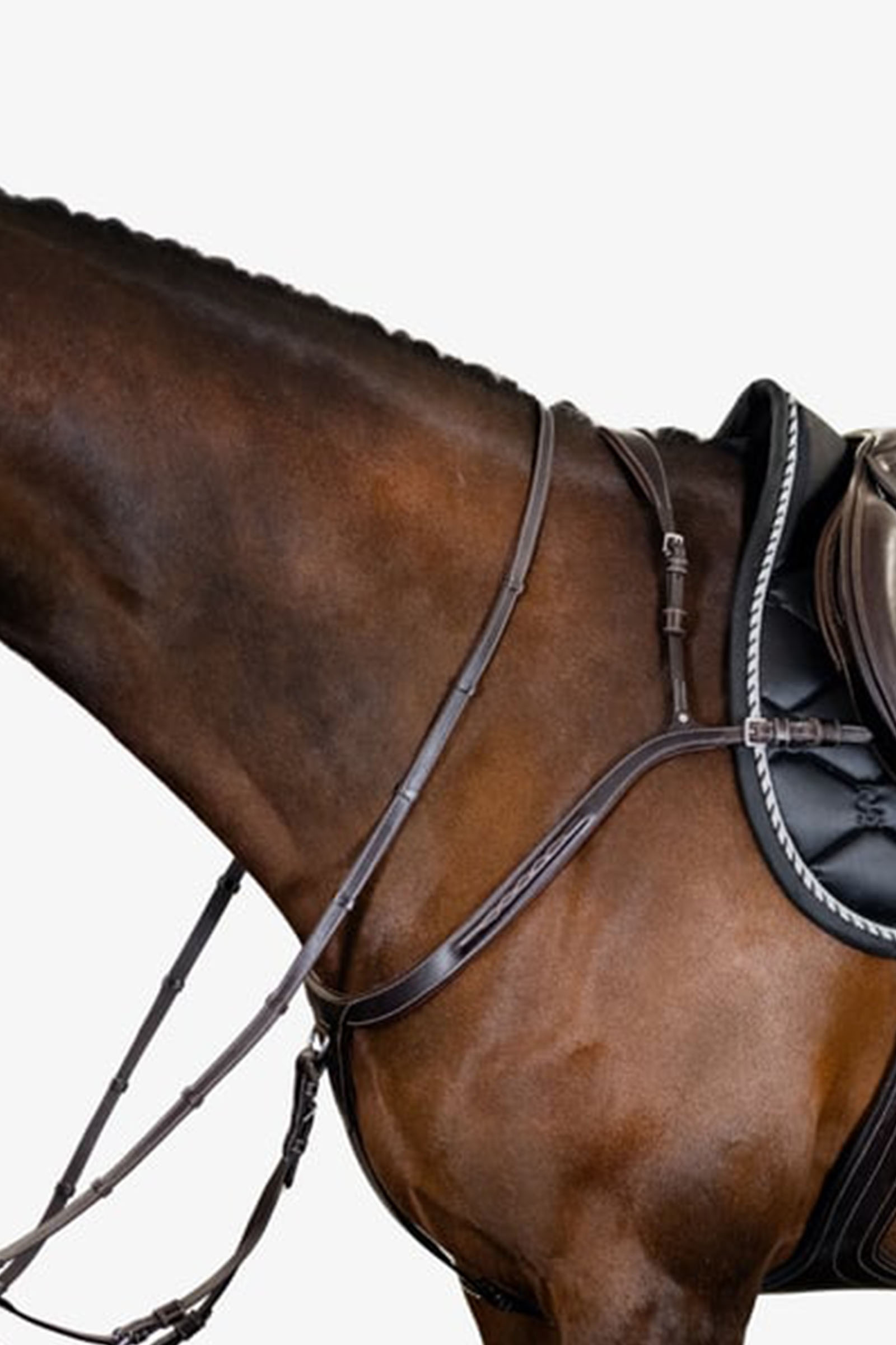 PS of Sweden napierśnik Tokyo