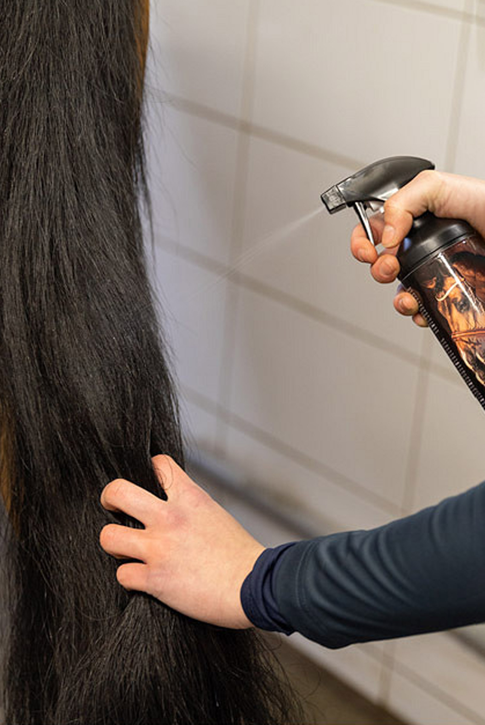 BR lotion na grzywę i ogon, 500 ml