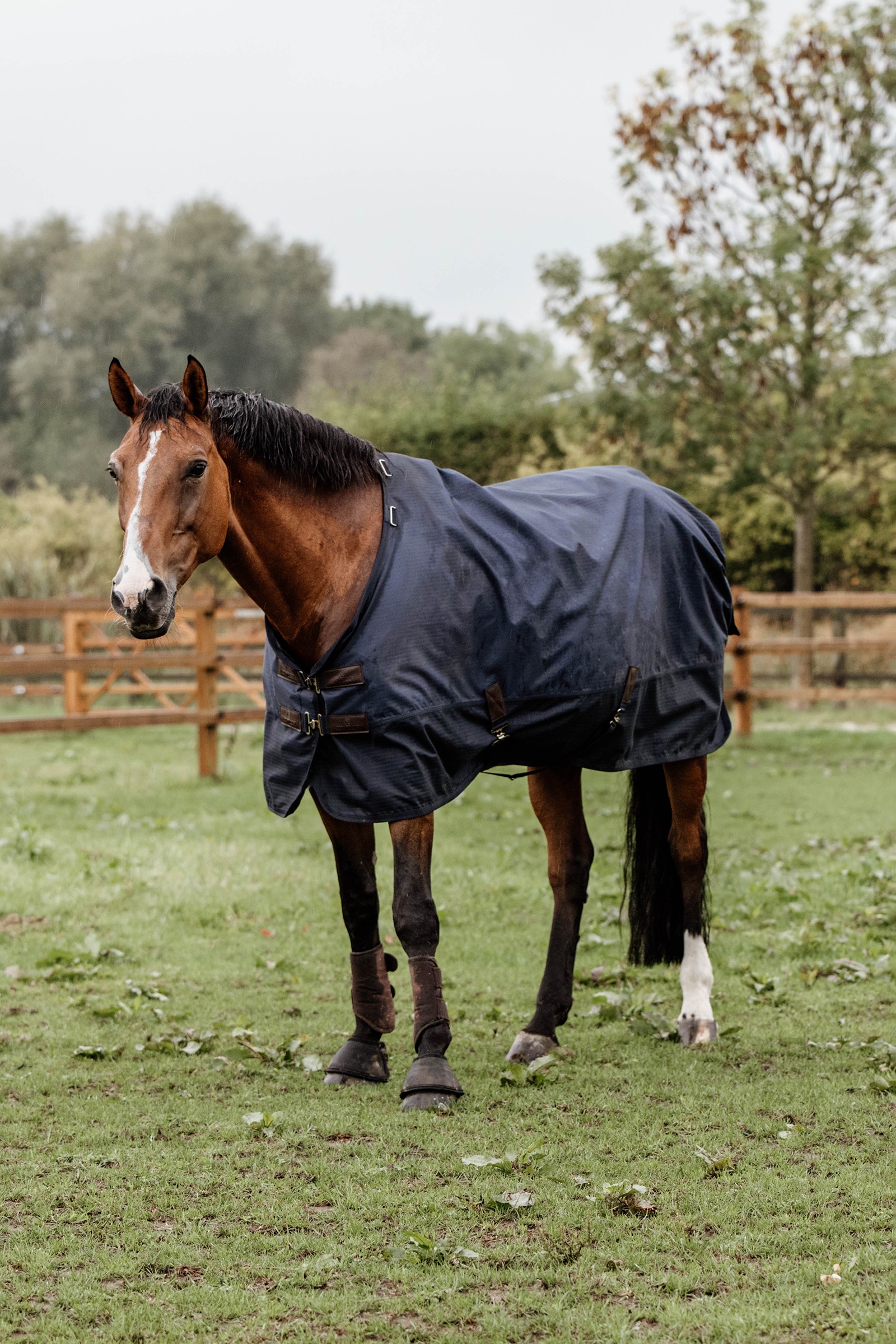 Derka Kentucky Horsewear Turnout na każdą pogodę, 300 g