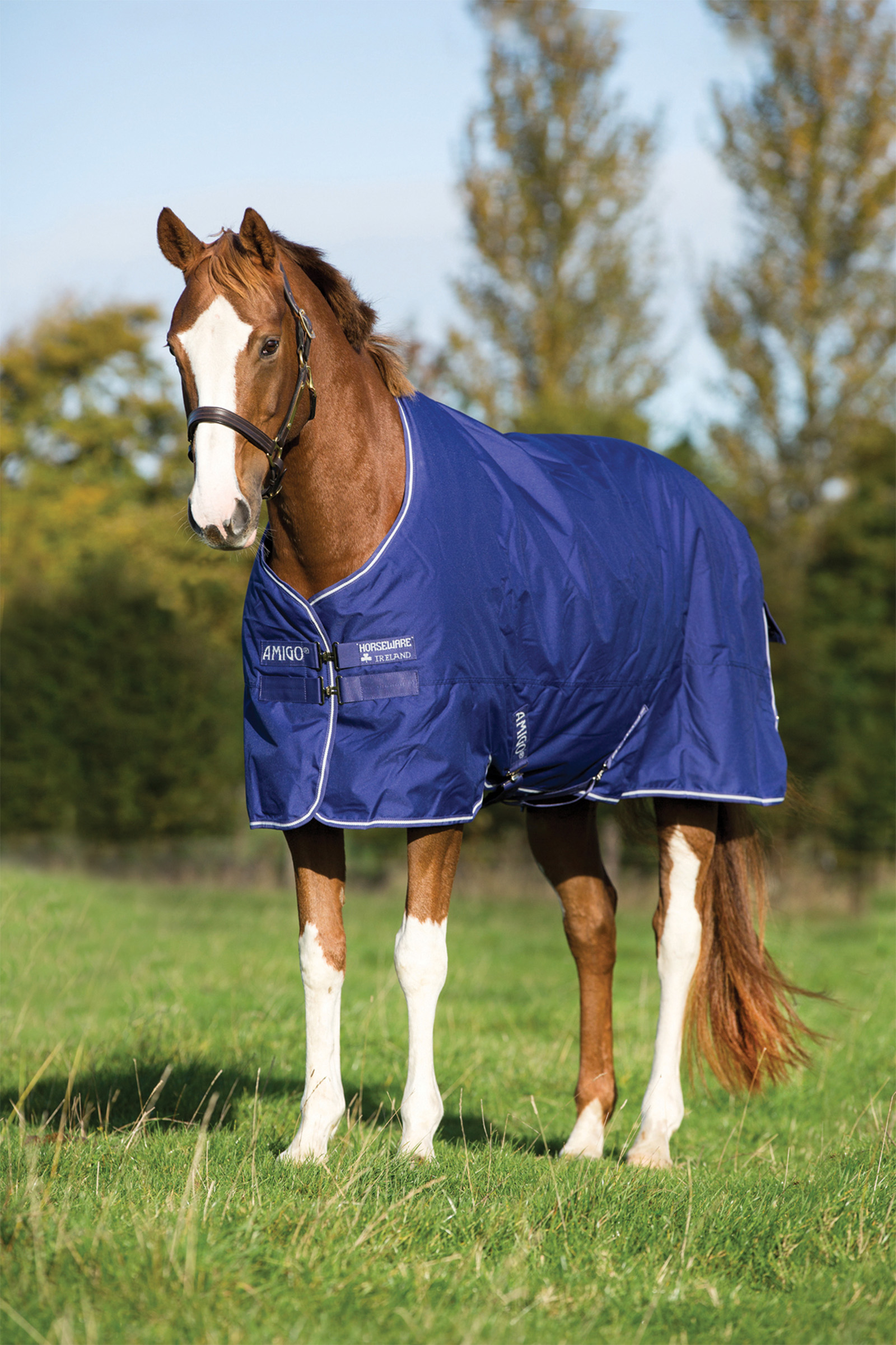 Horseware Amigo Hero 900 Plus Medium derka padokowa, 200g