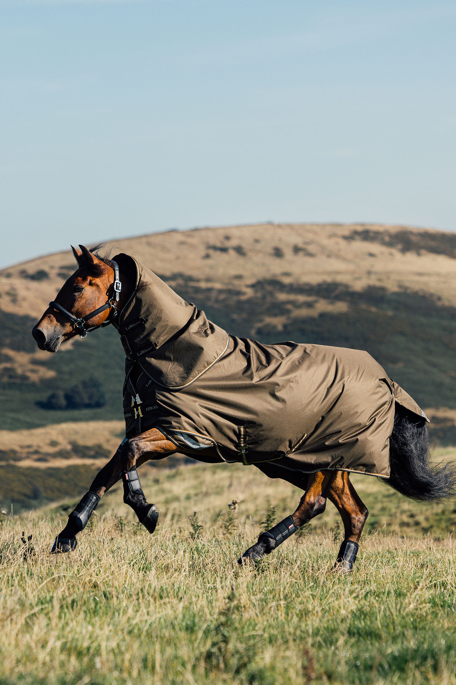 LeMieux Arika Ripstop derka pastwiskowa 50g