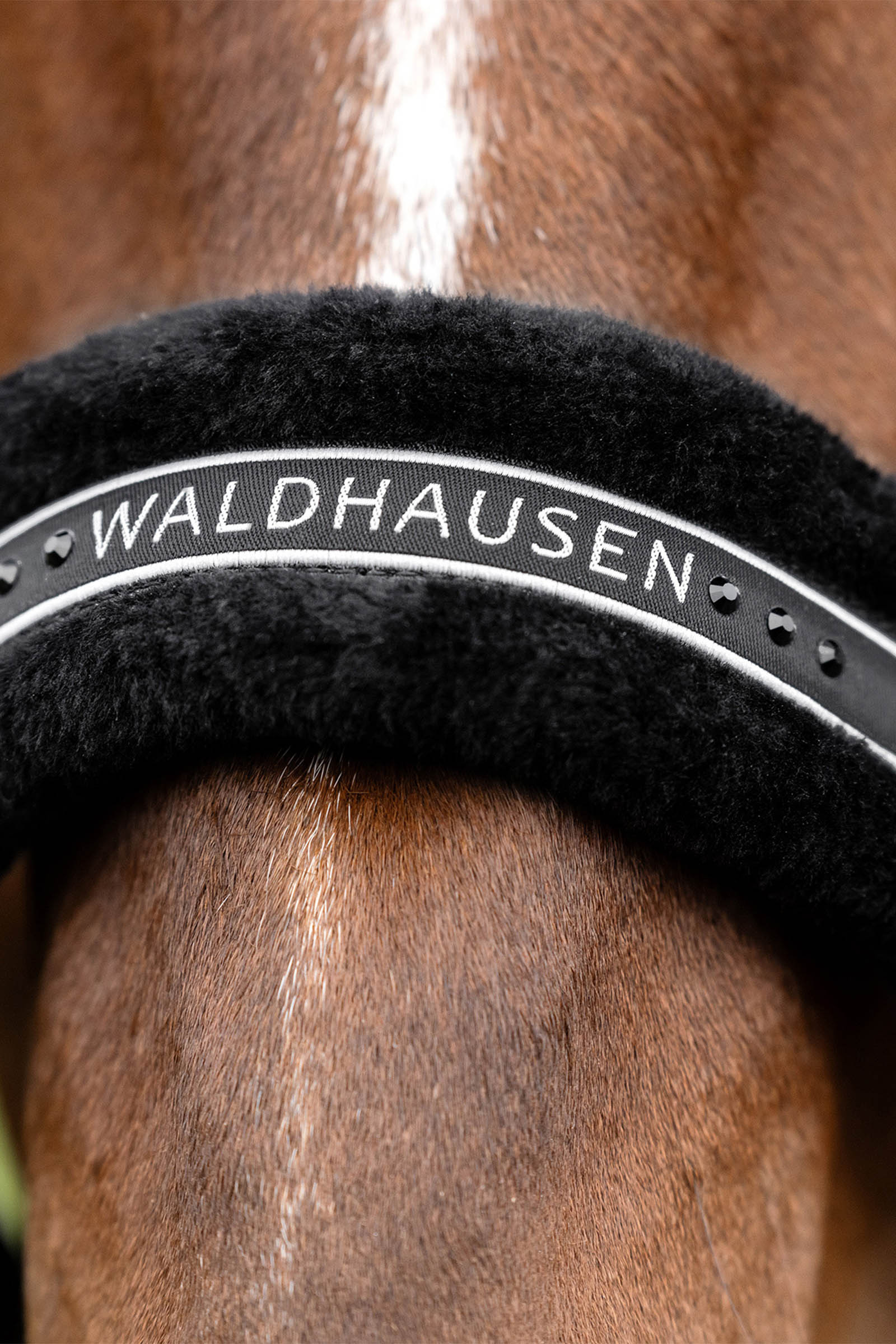 Waldhausen Elegant Kantar