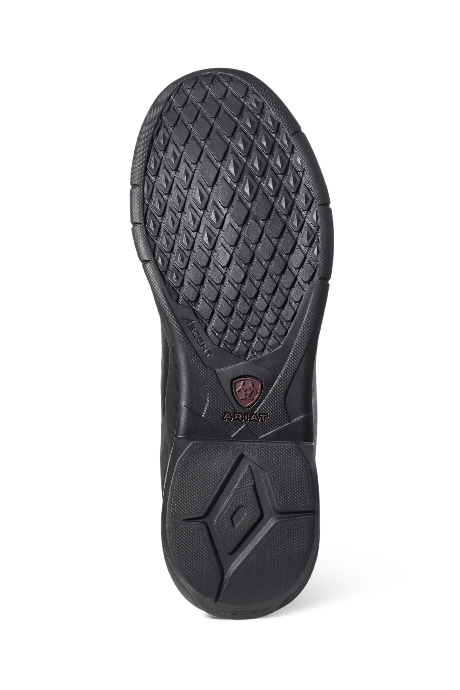 Ariat Ascent damskie buty jeździeckie