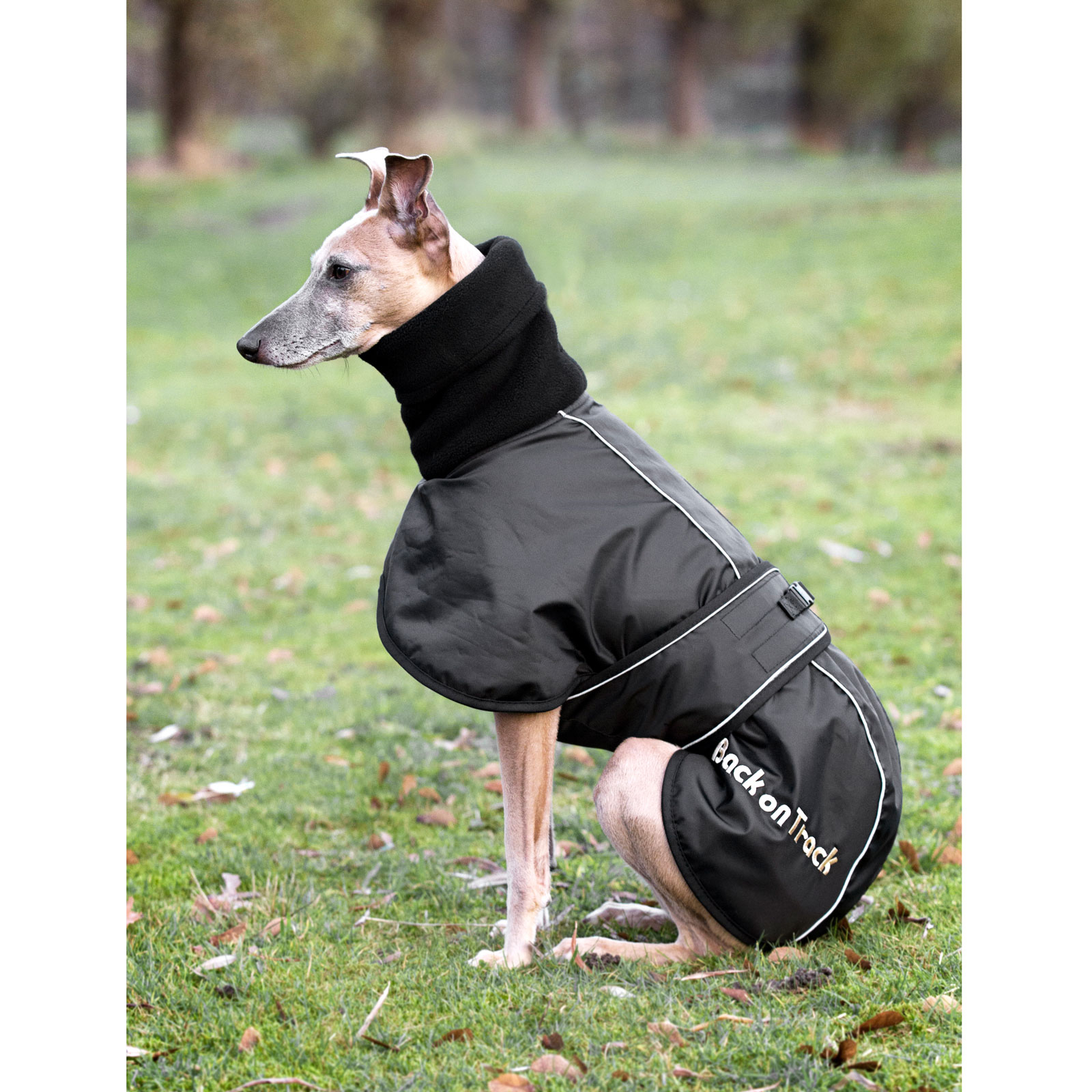 Derka dla psa Back on Track Whippet, L-XXL