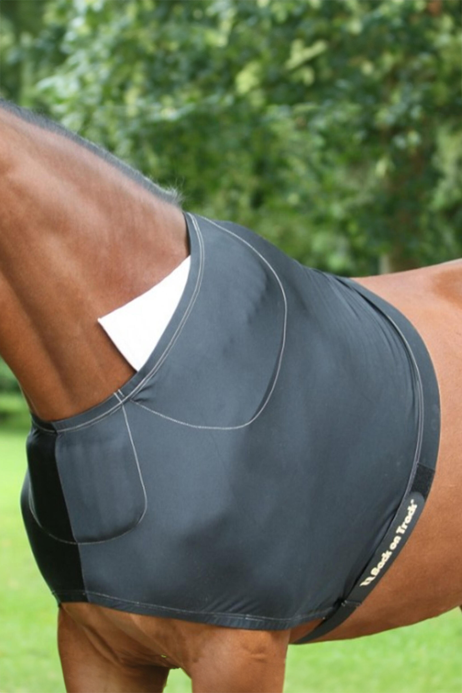 Ochraniacz na łopatki Back on Track