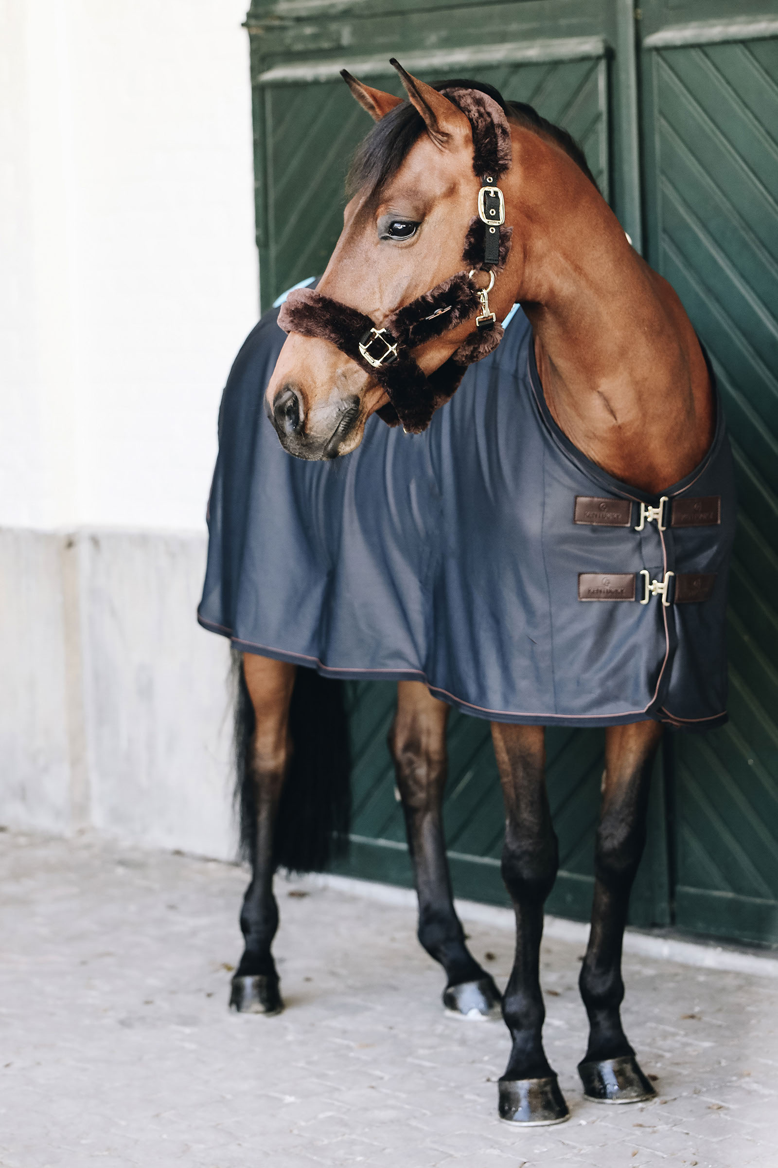 Kentucky Horsewear Recuptex Derka magnetyczna