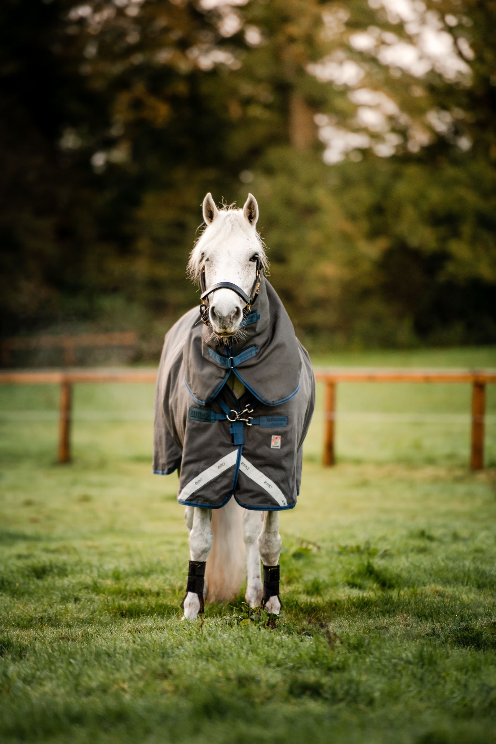 Horseware Rhino Hexstop Plus Vari-Layer Derka padokowa, 250 g