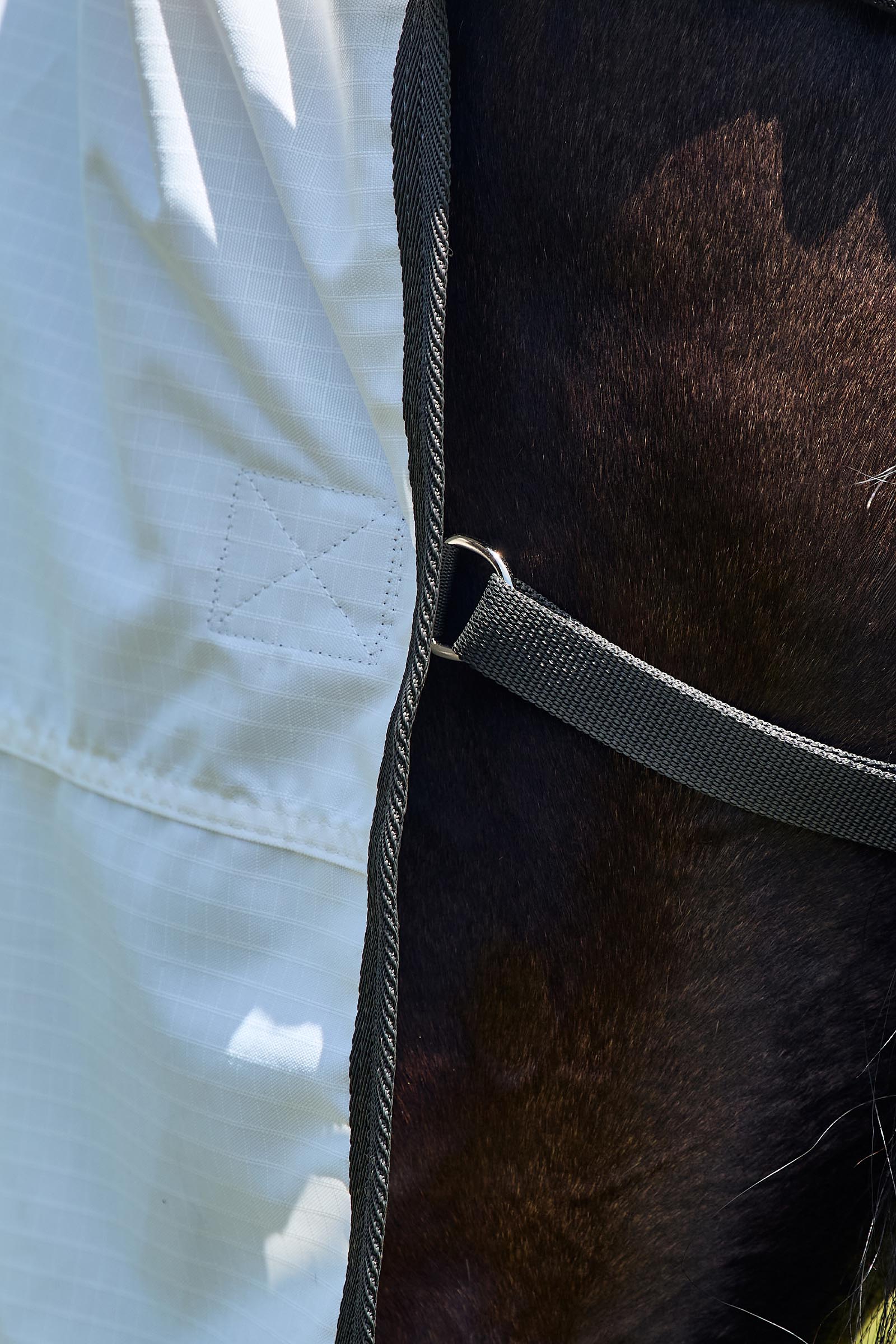 Weatherbeeta ComFiTec Sweet Itch Shield Derka przeciw muchom combo ze stałą szyją, 0 g  