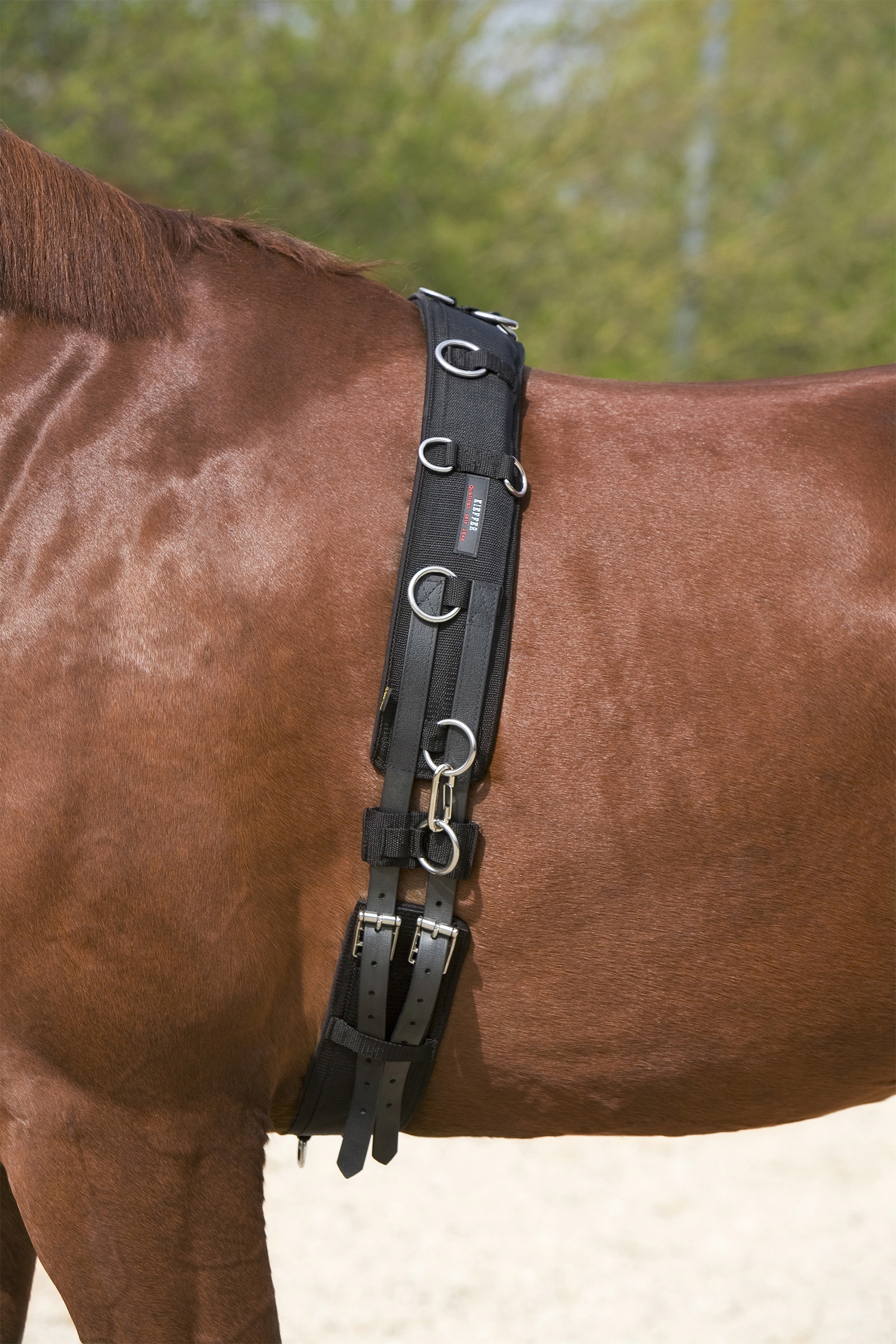 Kieffer Lunging Popręg