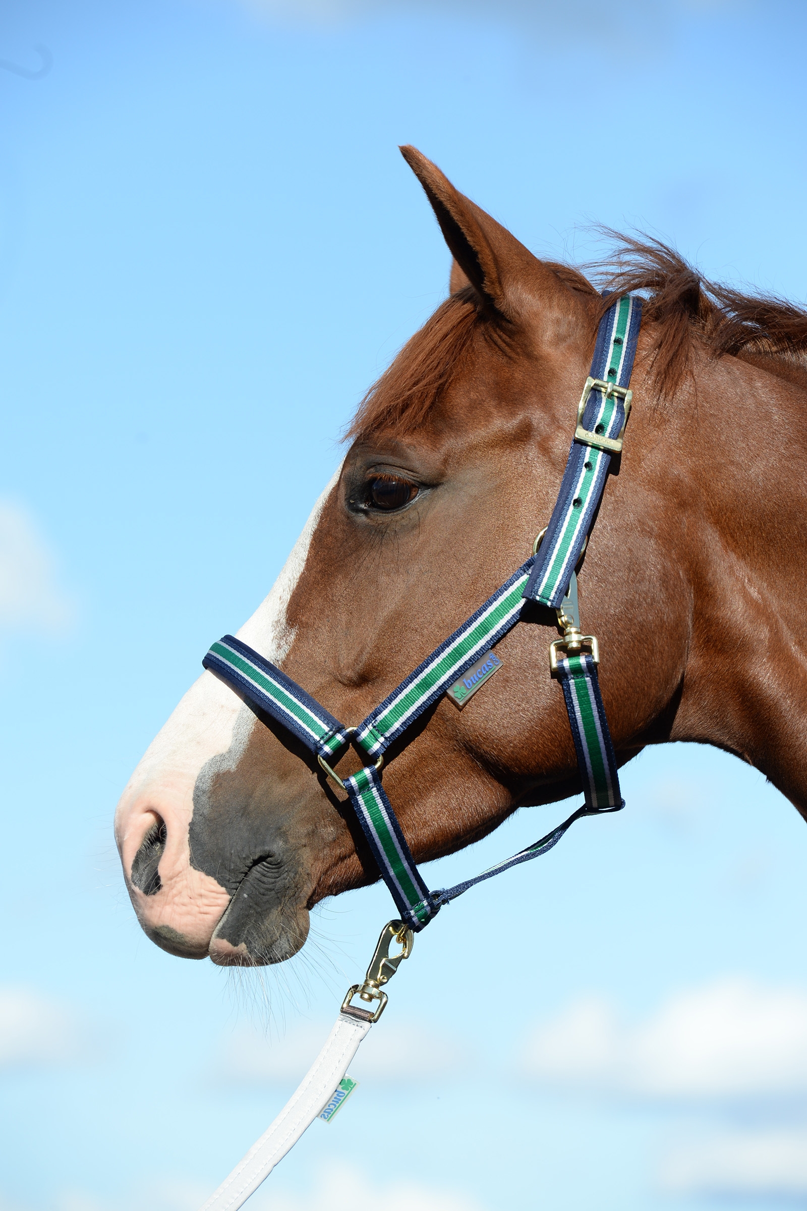 Off-White/Dark Blue Luksusowa wyściełana kamizelka Bucas Dublin