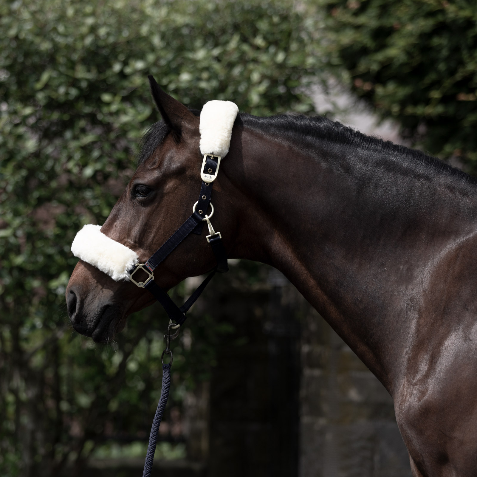 Kantar B Vertigo Laurier z jagnięcym futerkiem