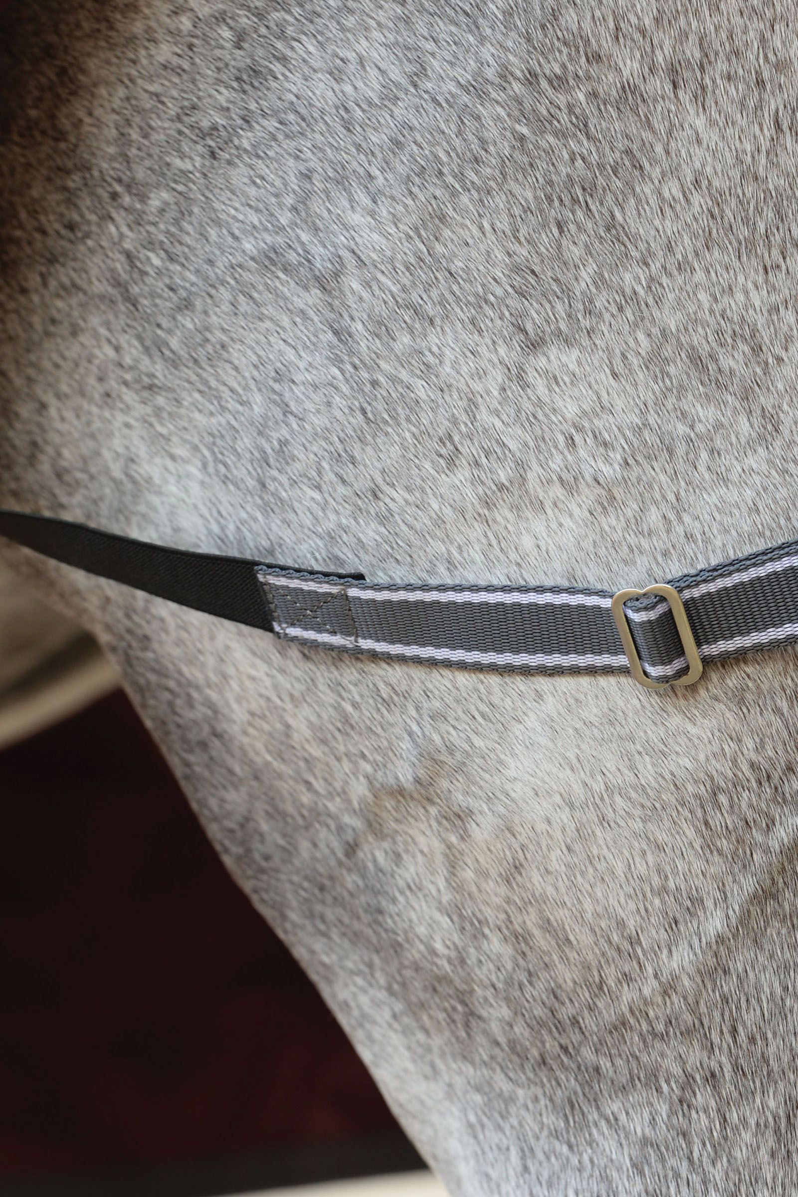 Weatherbeeta Derka padokowa Comfitec Plus Dynamic II Combo z kapturem, 220g