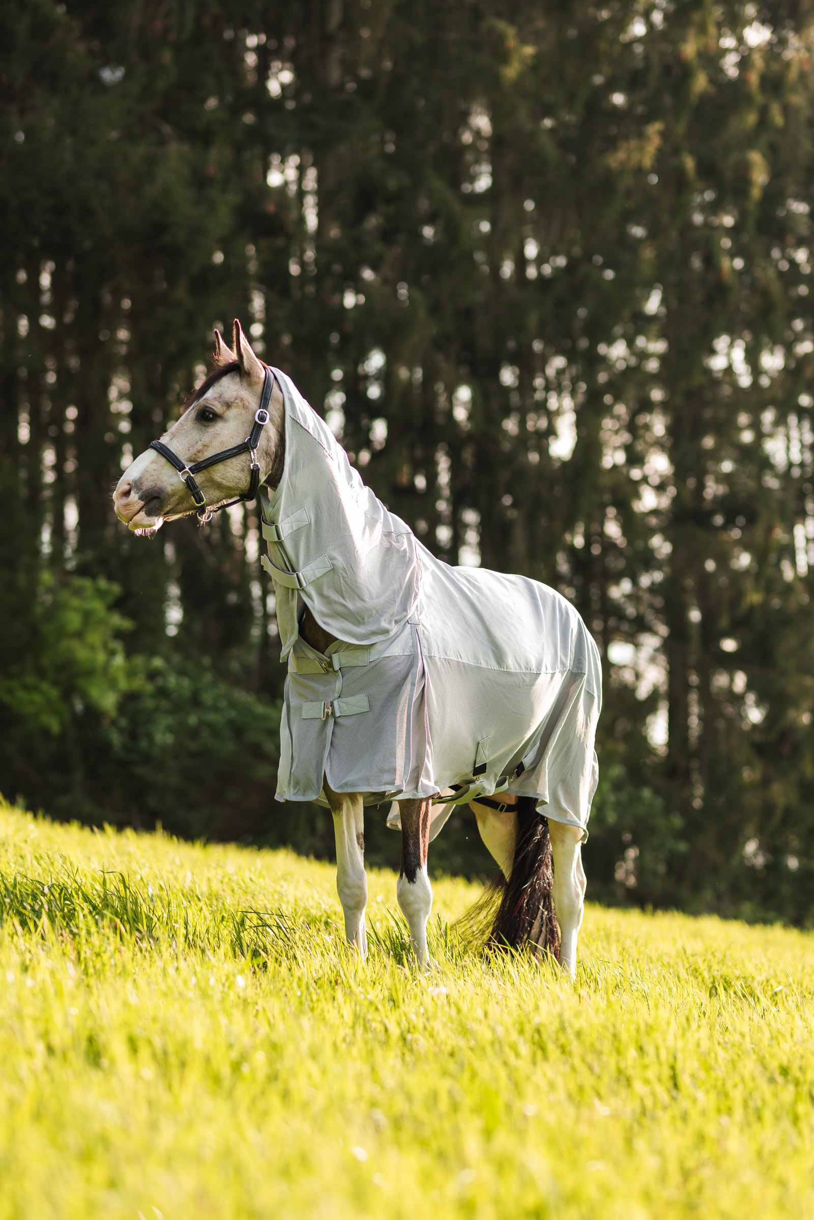 Horze Nevada Derka siatkowa, przeciwdeszczowa i przeciw owadom z kapturem 